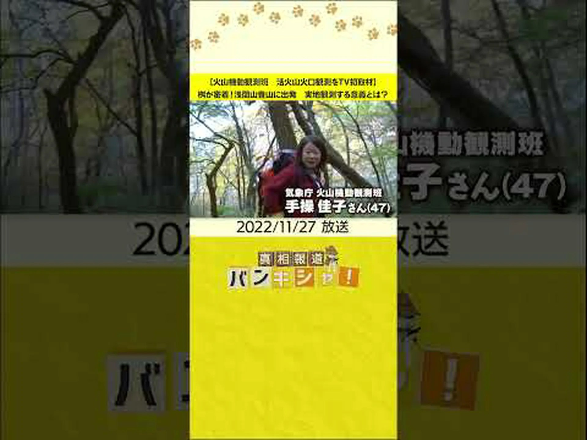 火山保護区: 活動中の火口のすぐ隣に希少な鳥類が生息 火山保護区: 活動中の火口のすぐ隣に希少な鳥類が生息