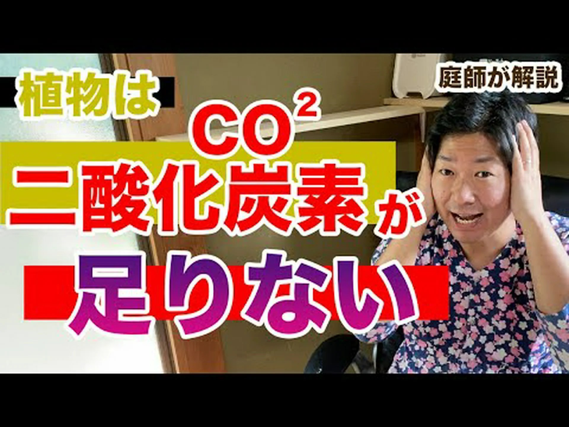 二酸化炭素は植物の時計を狂わせる 二酸化炭素は植物の時計を狂わせる