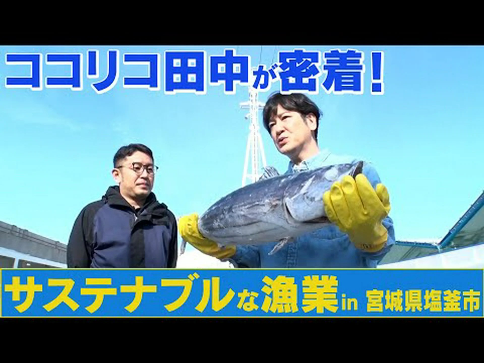 漁業: 持続可能性は利益さえもたらす 漁業: 持続可能性は利益さえもたらす