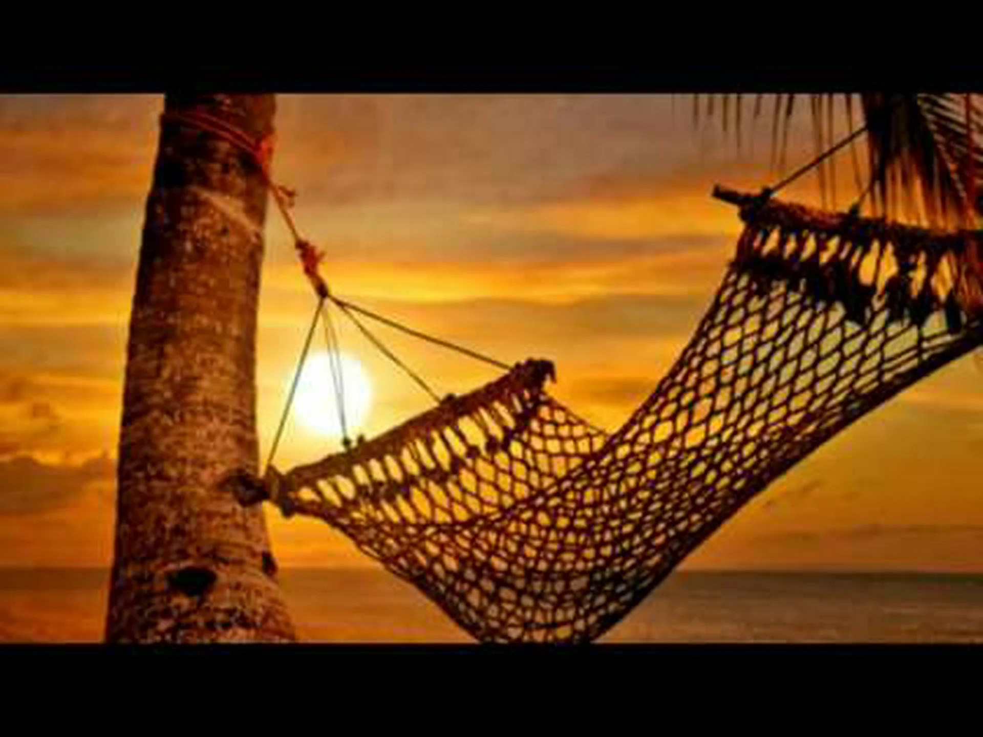 カナリア諸島のフィンチの面白い歌 カナリア諸島のフィンチの面白い歌