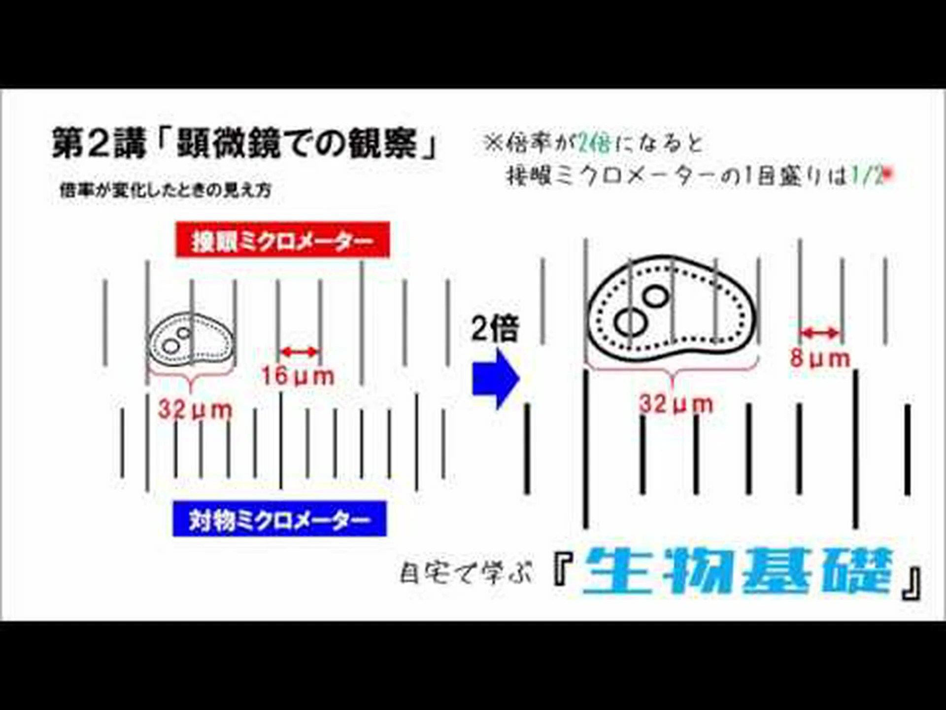 小型顕微鏡は脳内のメッセンジャー物質の経路を追跡するのに役立ちます 小型顕微鏡は脳内のメッセンジャー物質の経路を追跡するのに役立ちます