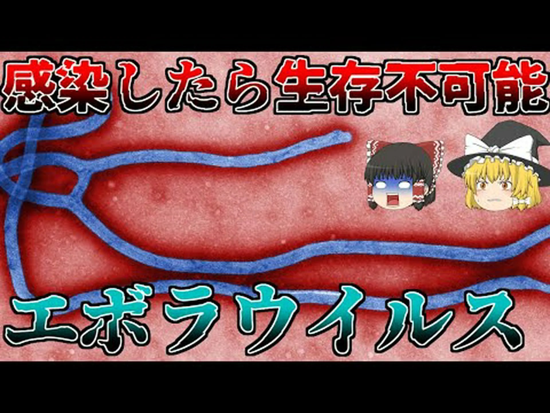 自由自在 – エボラウイルスは免疫システムの一部のスイッチをオフにします 自由自在 – エボラウイルスは免疫システムの一部のスイッチをオフにします