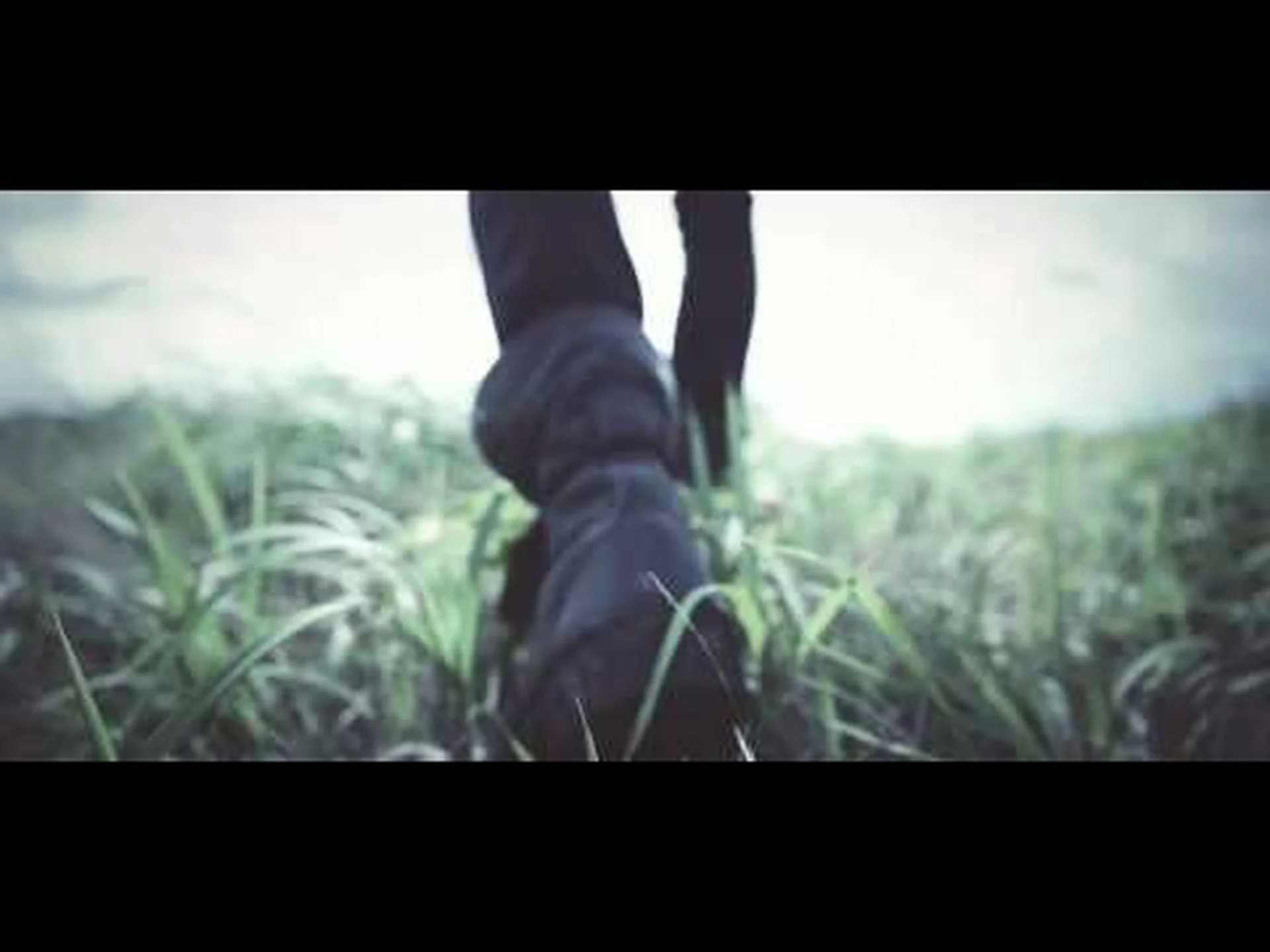 煙に満ちた人生の始まり 煙に満ちた人生の始まり