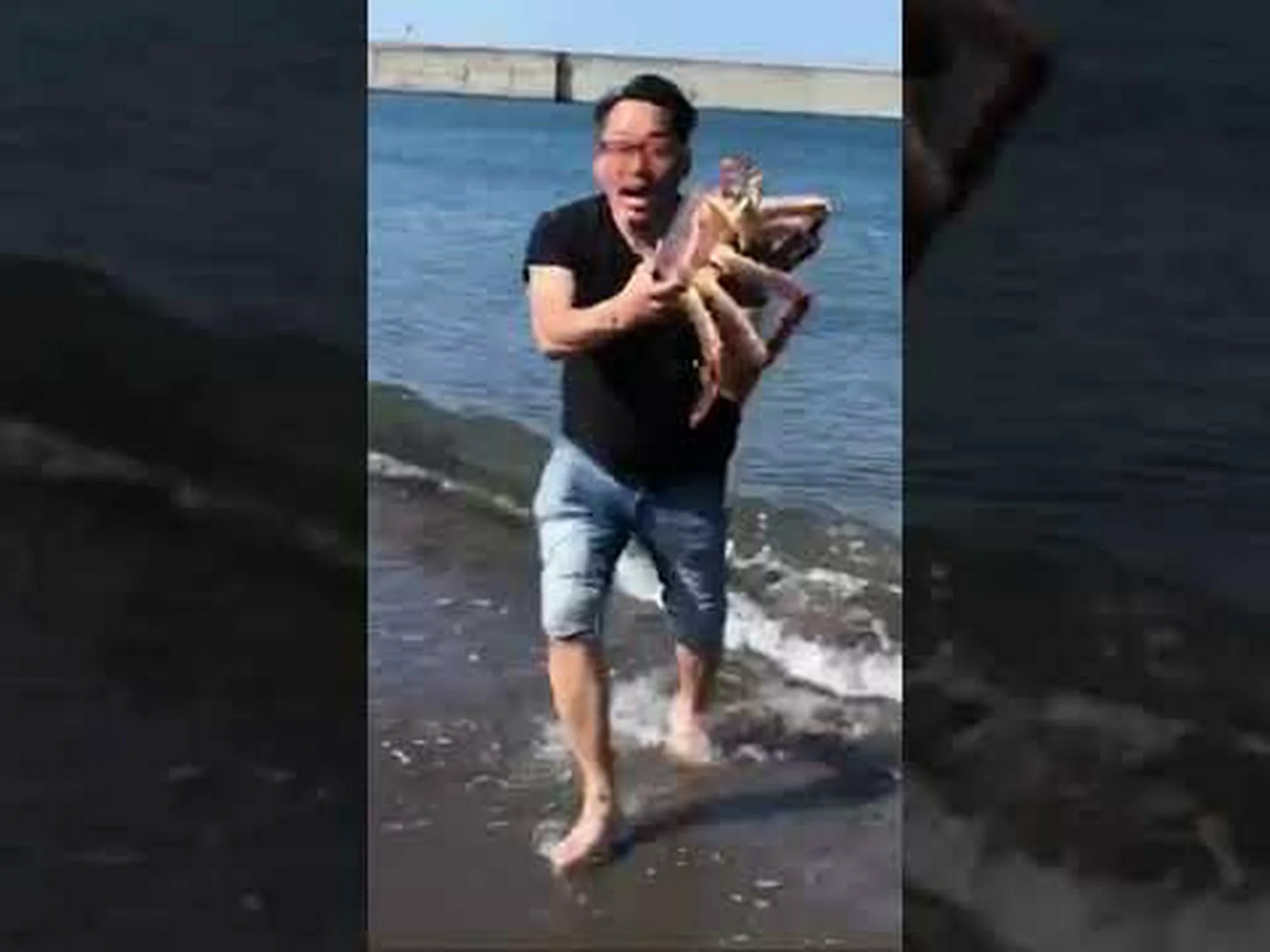 カニは繁茂を防いでくれる カニは繁茂を防いでくれる