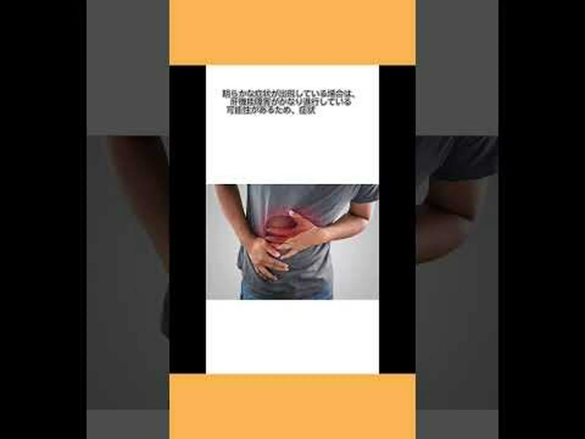 コンピューターからの肝臓 コンピューターからの肝臓