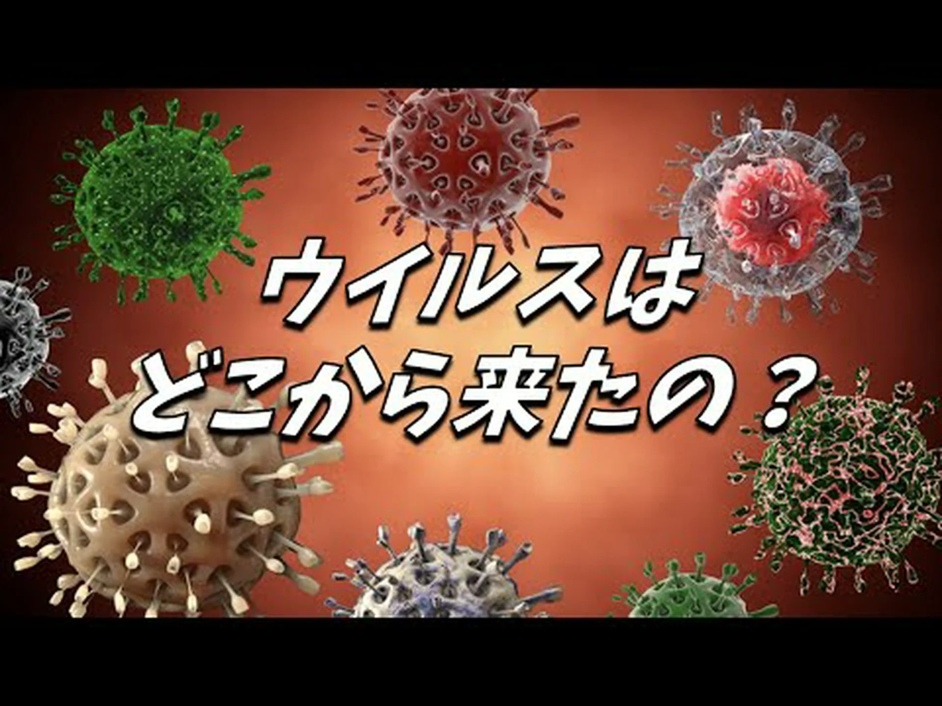 感染症が生まれる場所 感染症が生まれる場所