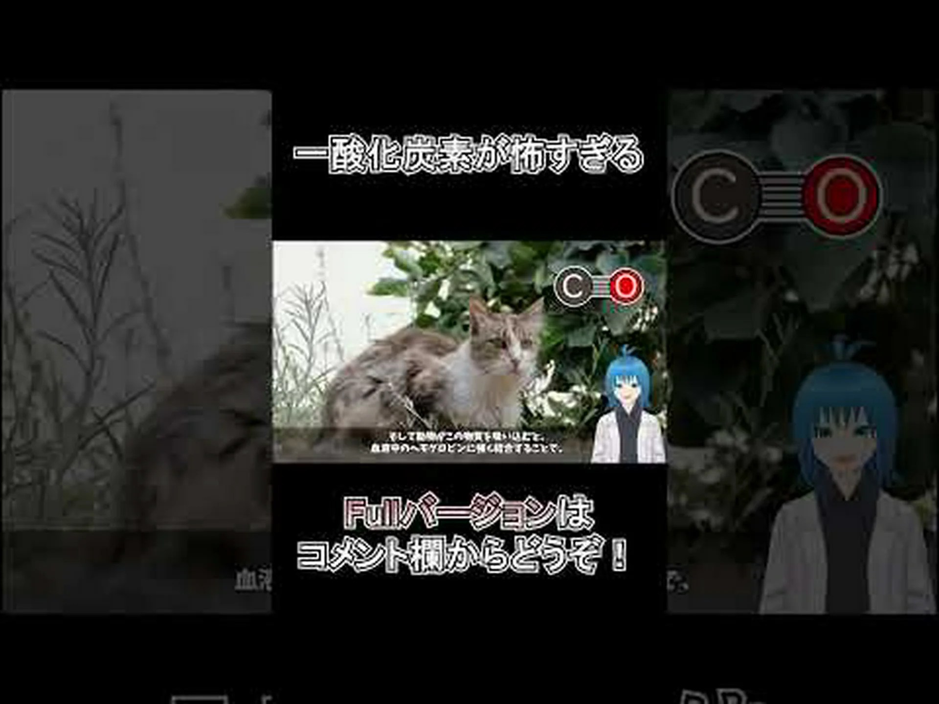 研究者らはこれまで知られていなかった触媒中心を発見 - 酵素が一酸化炭素を酸化する 研究者らはこれまで知られていなかった触媒中心を発見 - 酵素が一酸化炭素を酸化する