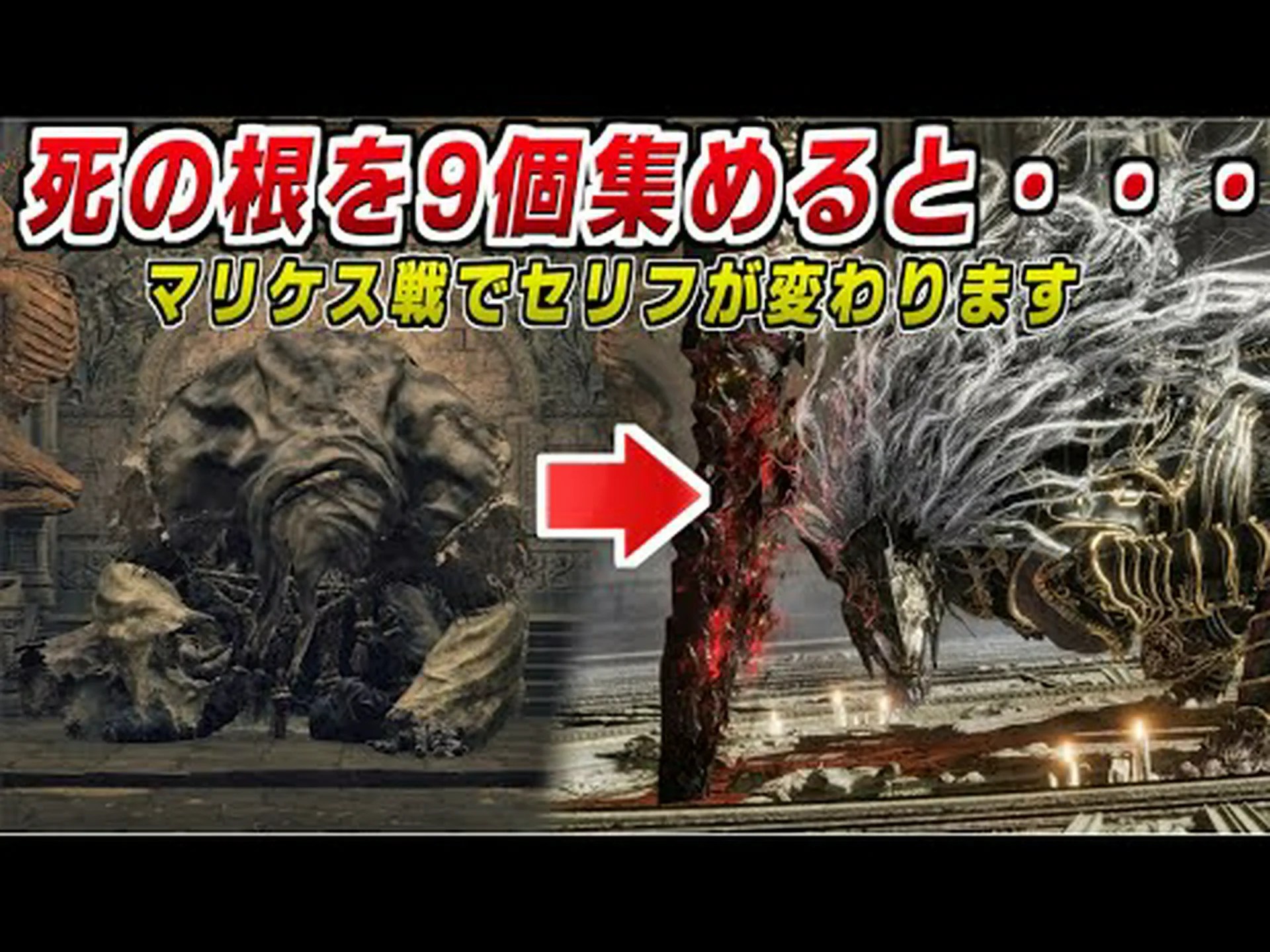 根に鎧効果が発見される 根に鎧効果が発見される