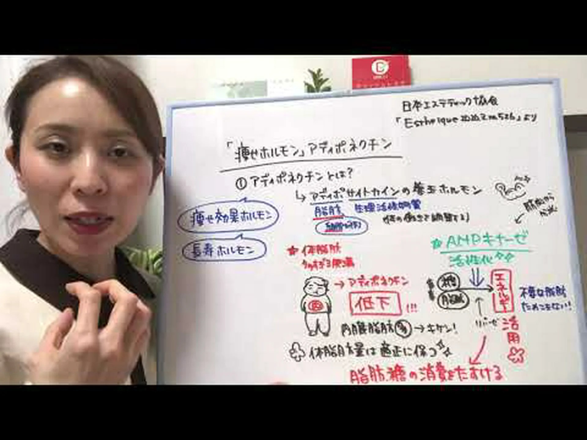 アディポネクチンができること アディポネクチンができること