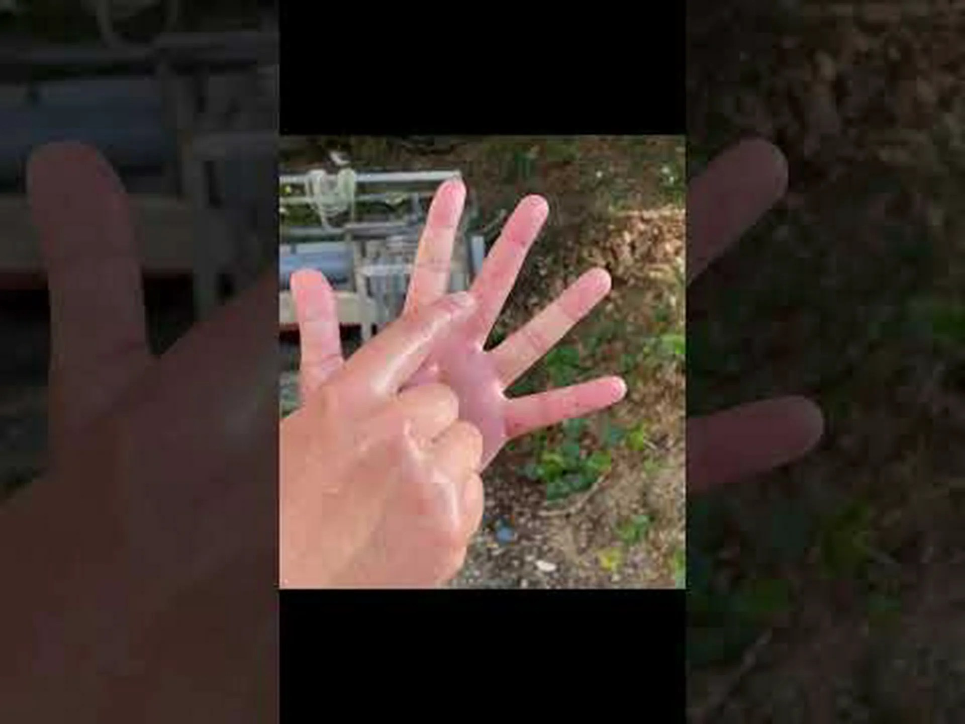 毒を噛んで蛇行する両生類 毒を噛んで蛇行する両生類