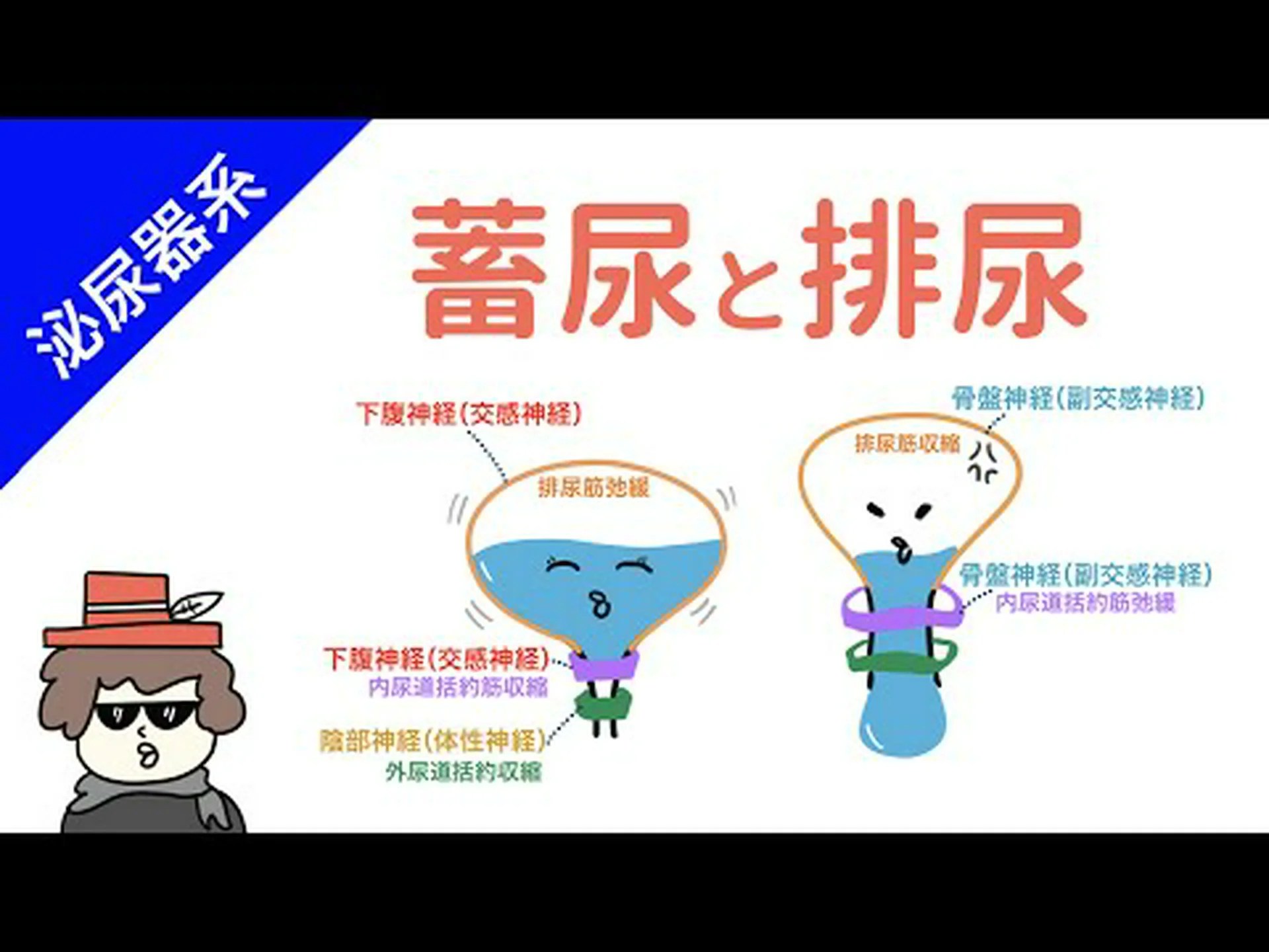 省エネ尿投下カタパルト 省エネ尿投下カタパルト