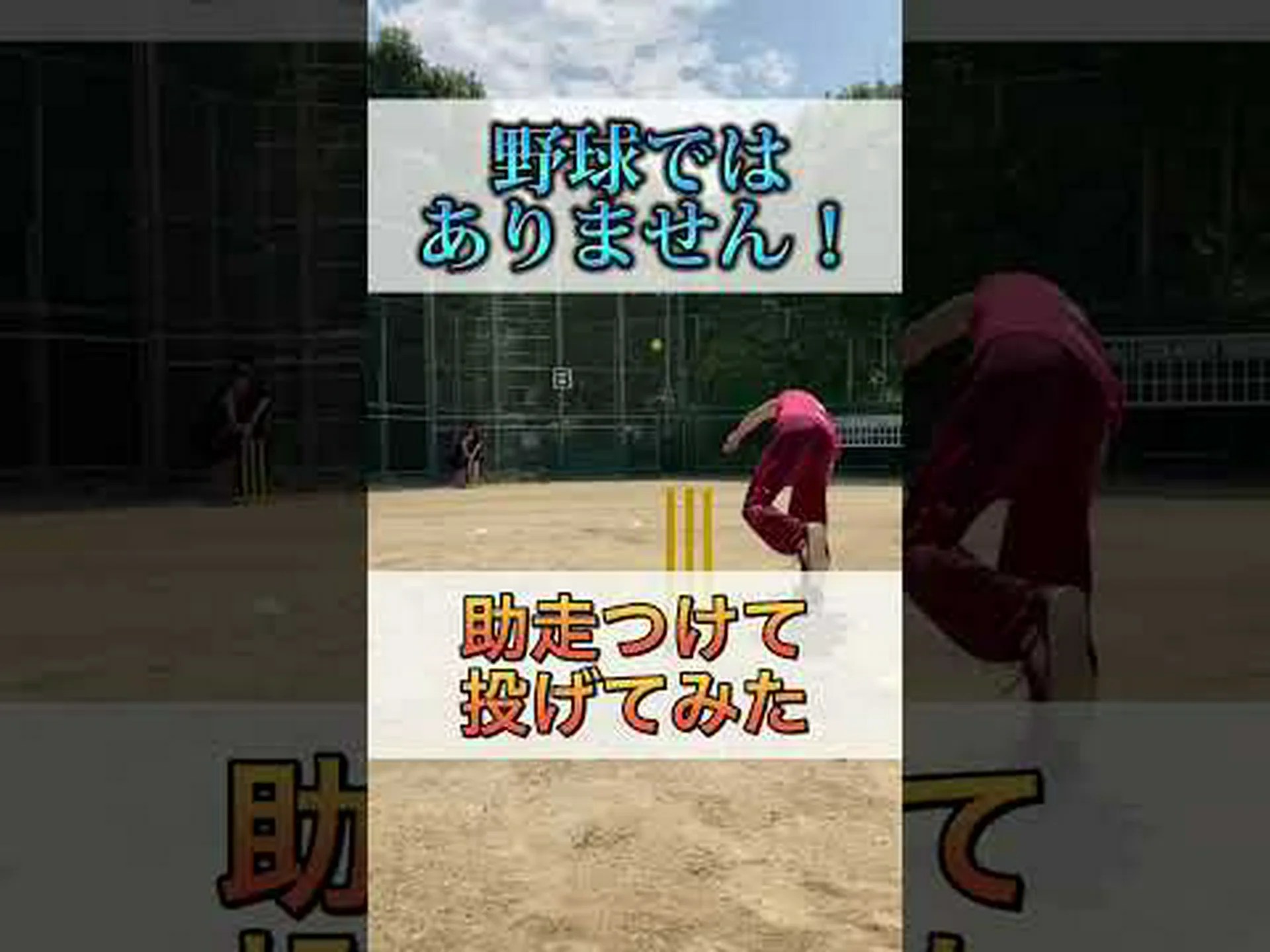 脳研究者がクリケットを分析する 脳研究者がクリケットを分析する