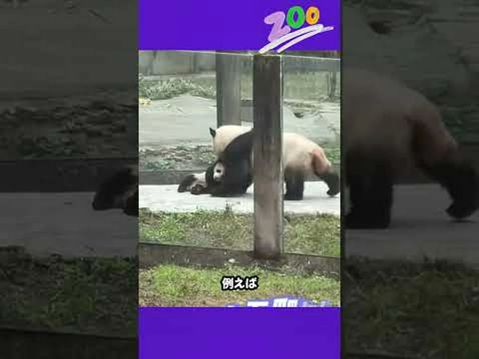 独自性をめぐる論争 独自性をめぐる論争