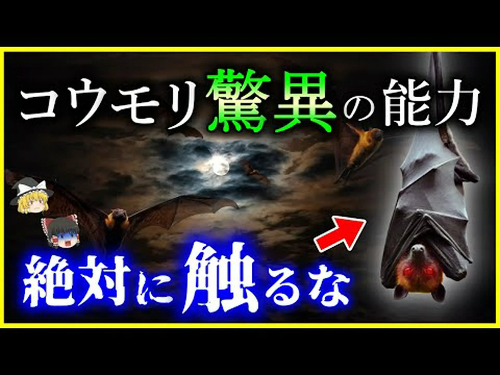 汚染物質は在来コウモリを危険にさらす 汚染物質は在来コウモリを危険にさらす
