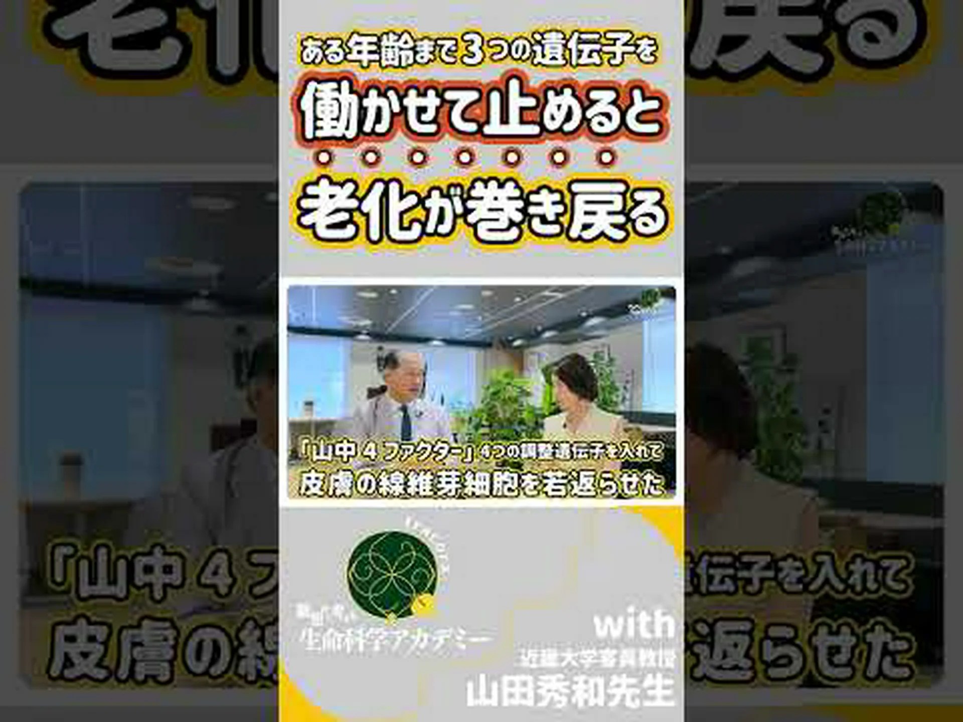 楽観主義者は老化が遅い 楽観主義者は老化が遅い
