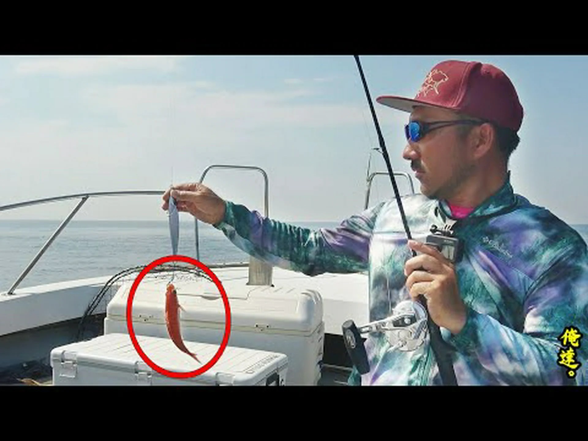 小さな魚が大騒ぎを起こす 小さな魚が大騒ぎを起こす