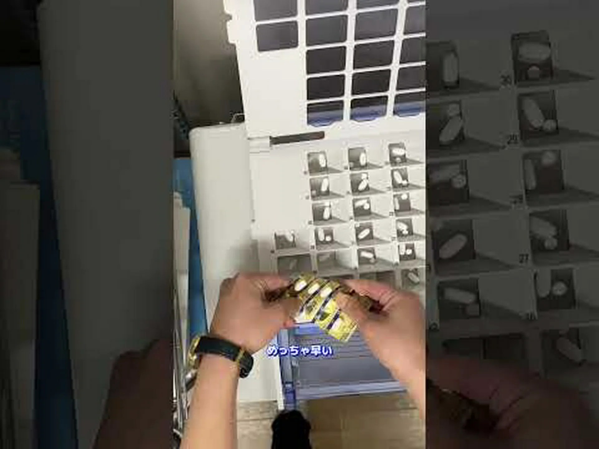 昆虫は薬局と競合している 昆虫は薬局と競合している