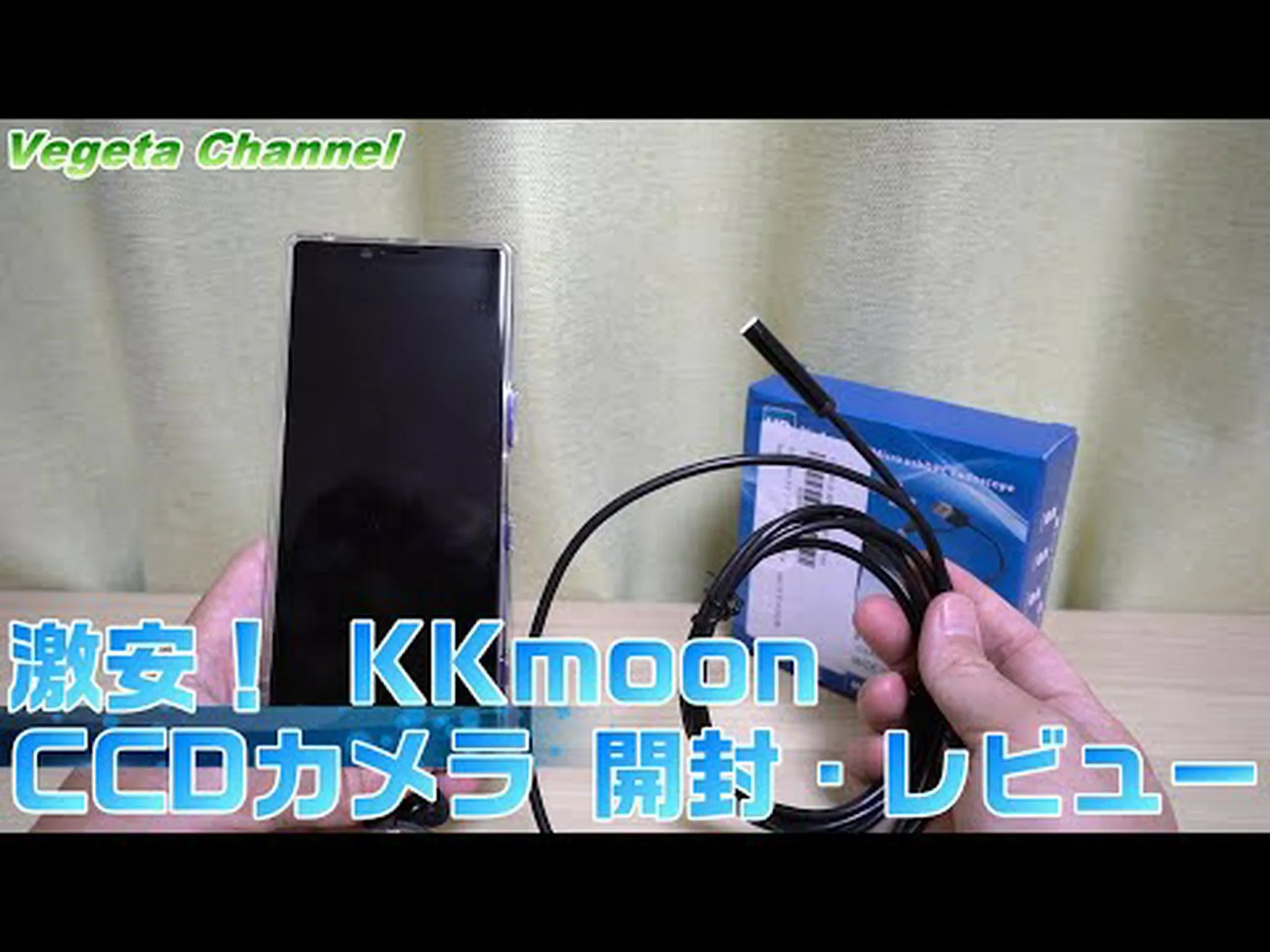 ミニ内視鏡で細かい探索 ミニ内視鏡で細かい探索