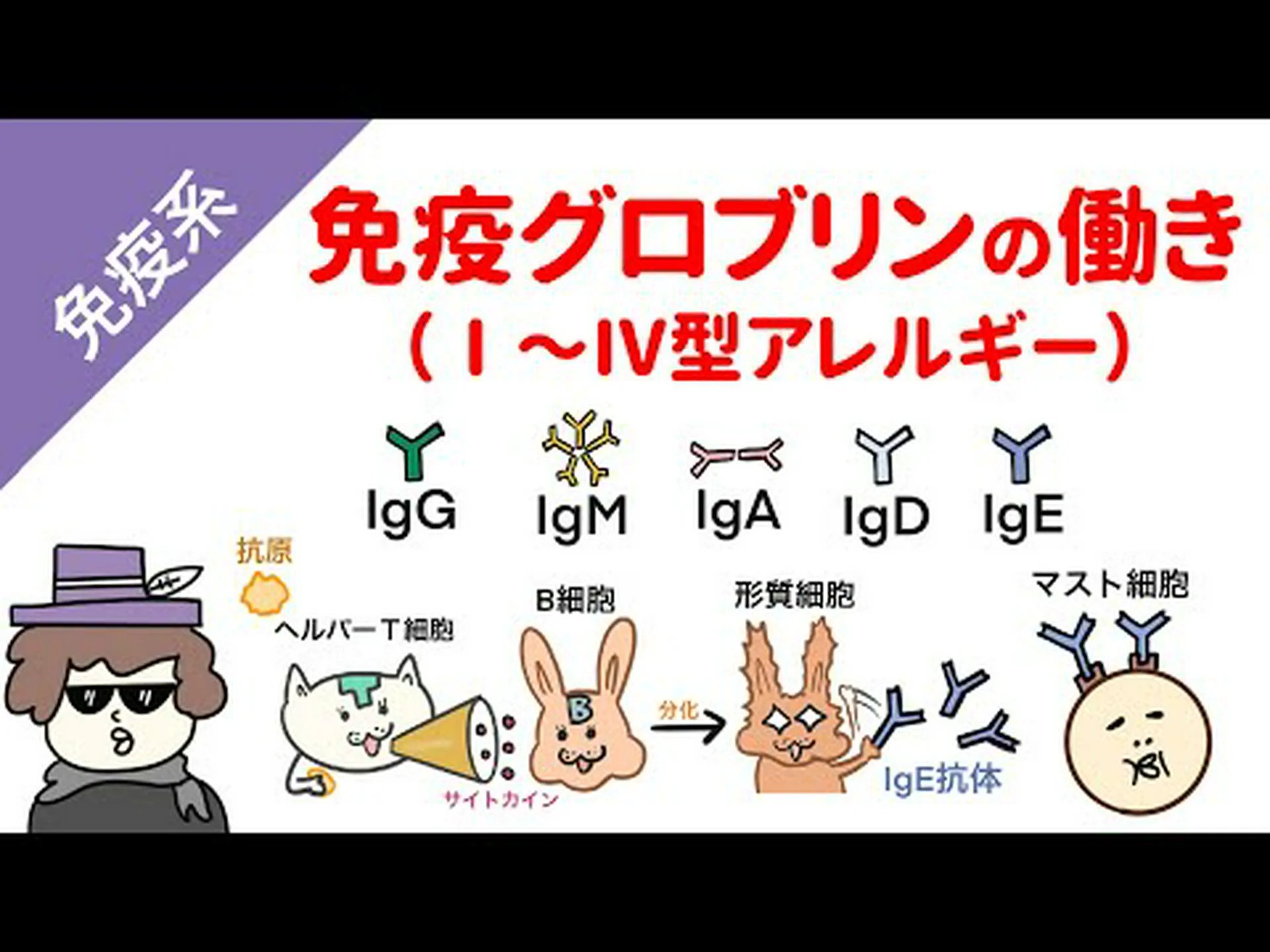 ホルモンシールドが母親の免疫細胞から胎児を守る ホルモンシールドが母親の免疫細胞から胎児を守る