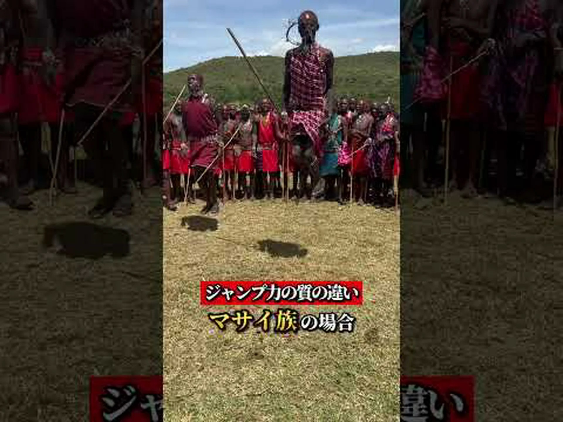 小さな脳、大きなパフォーマンス 小さな脳、大きなパフォーマンス