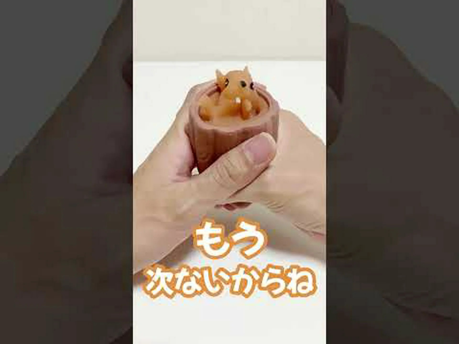 シマリスが通りを歩いて渡らない理由 シマリスが通りを歩いて渡らない理由