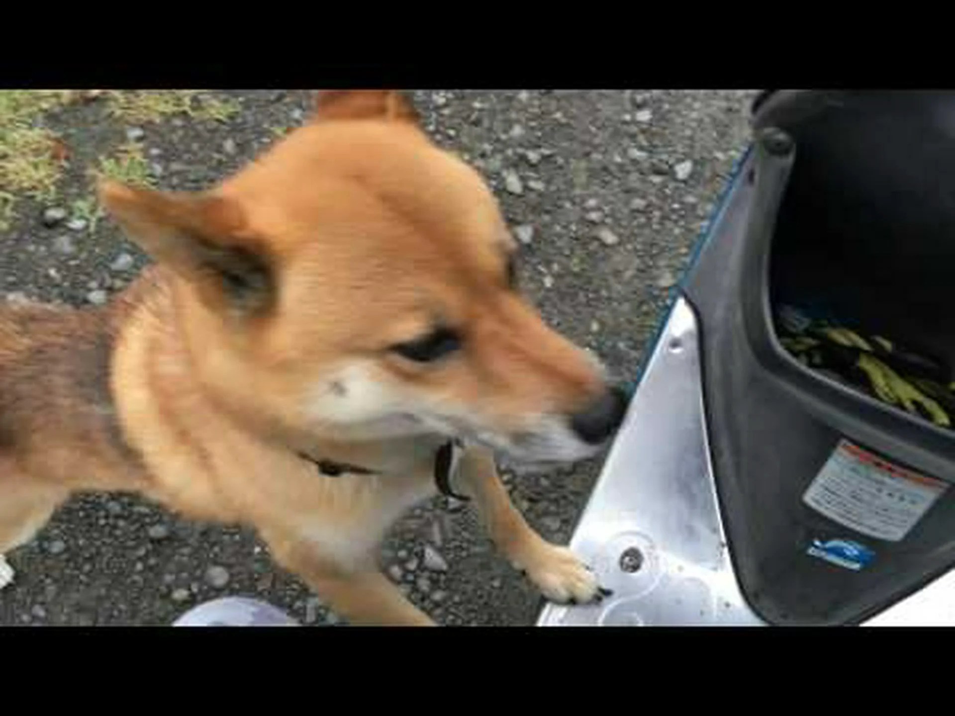 方言で文句を言う 方言で文句を言う