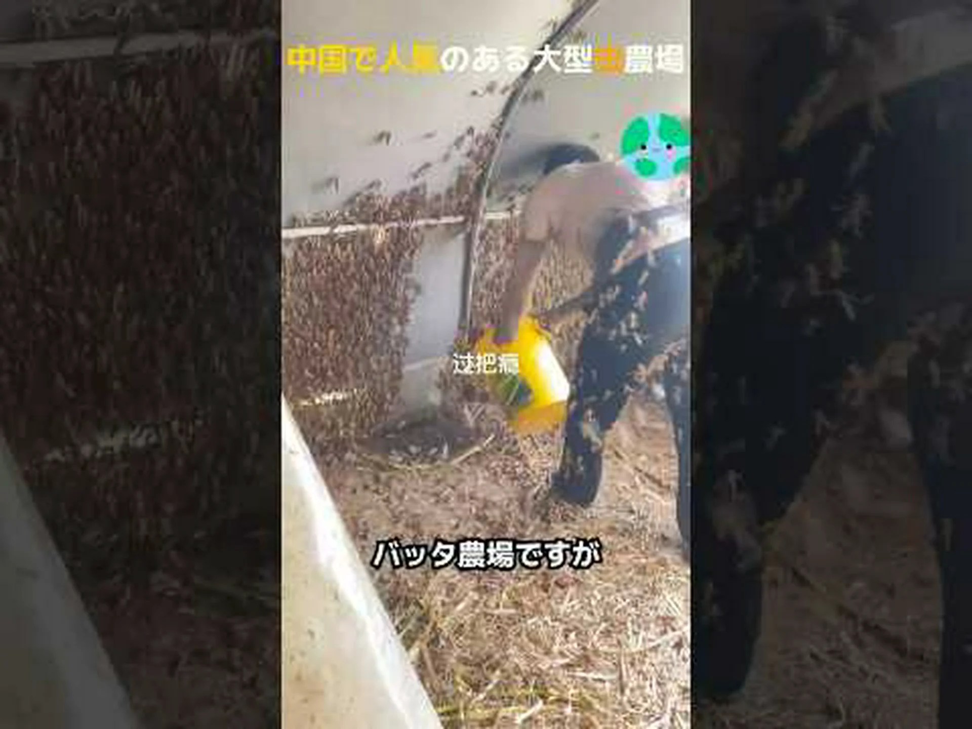 農業は自然保護区の昆虫も殺す 農業は自然保護区の昆虫も殺す