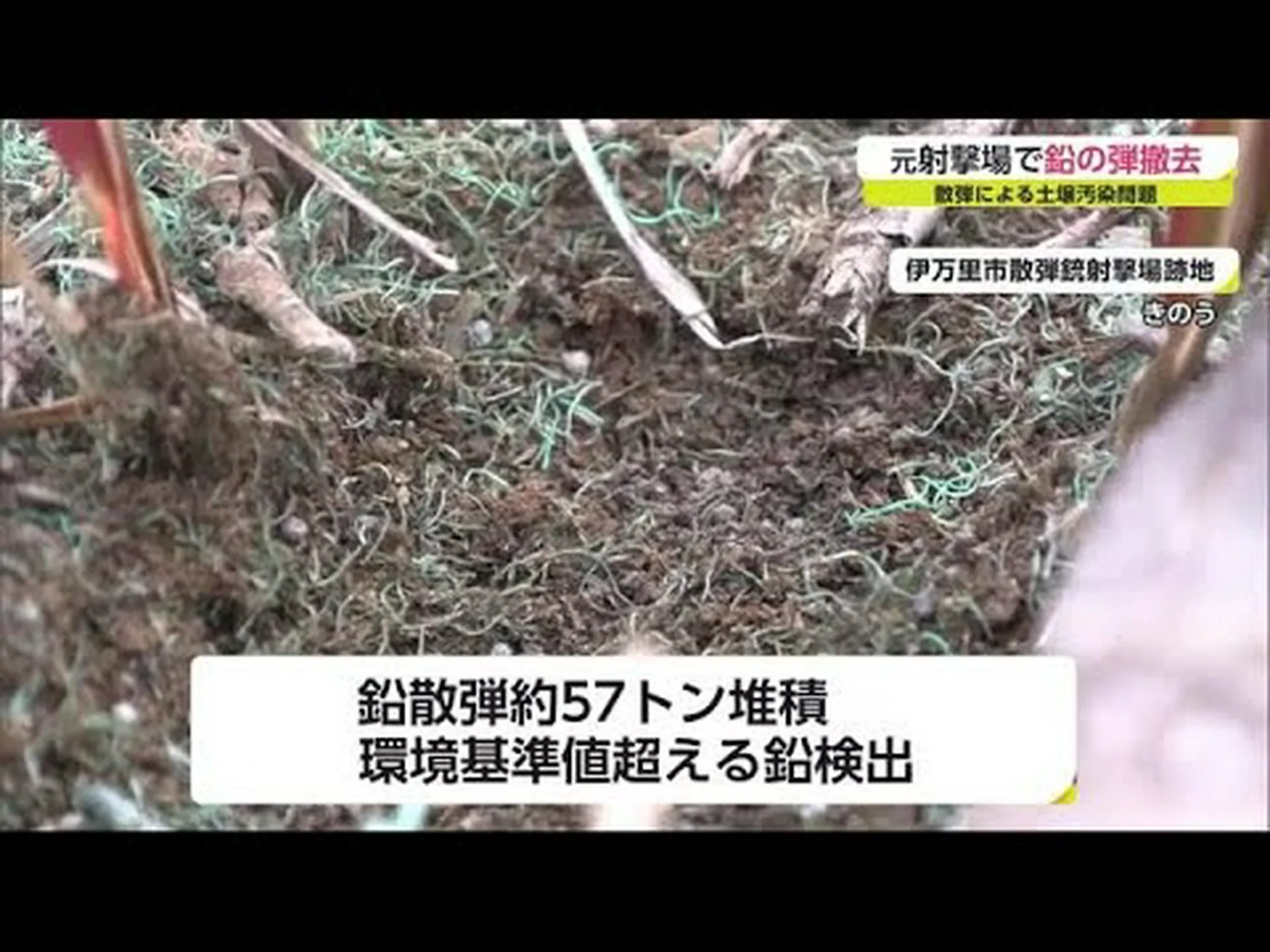 泥炭の中にある鉛の遺産 泥炭の中にある鉛の遺産