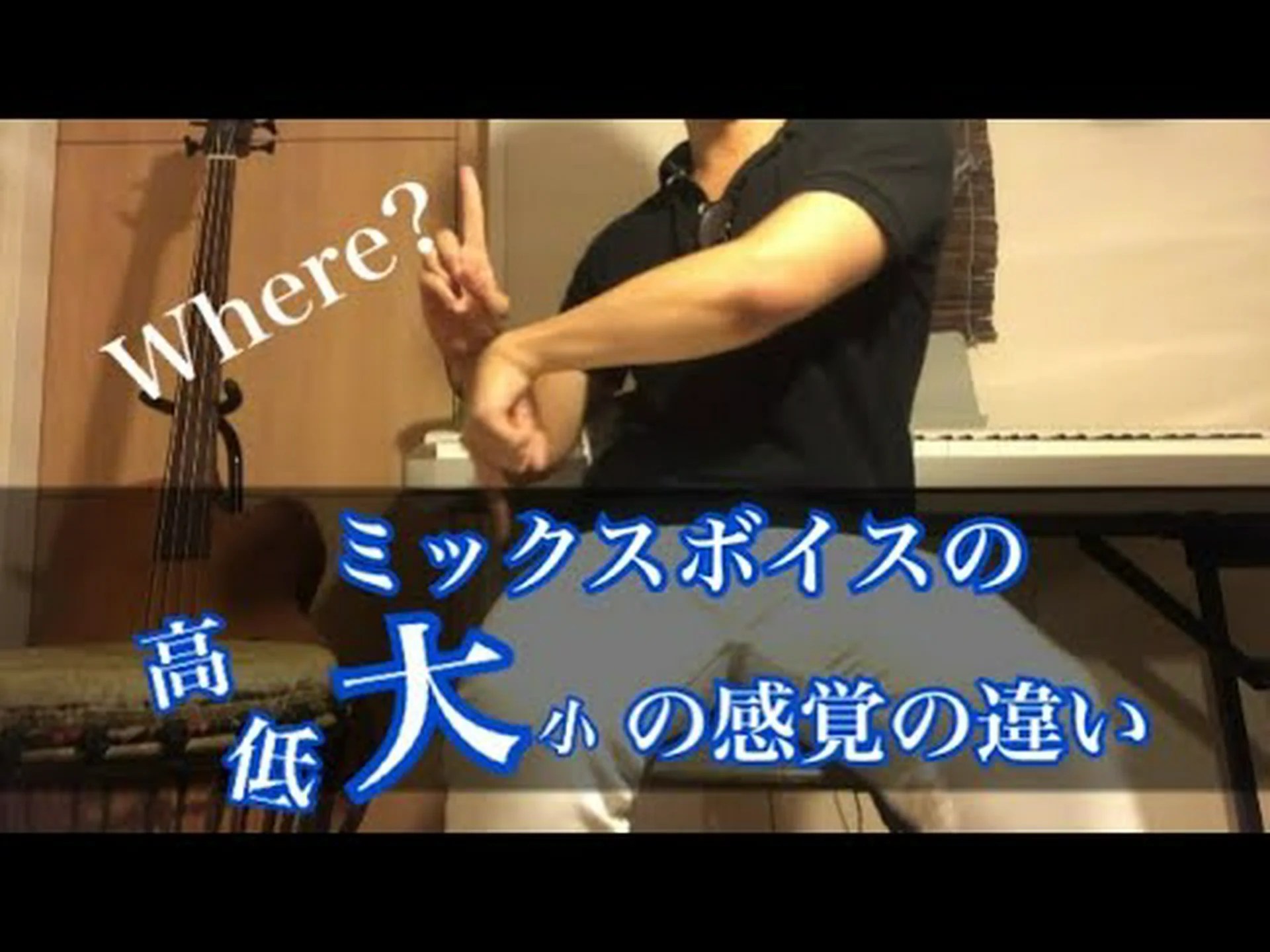 言語に対する響きの感覚 言語に対する響きの感覚