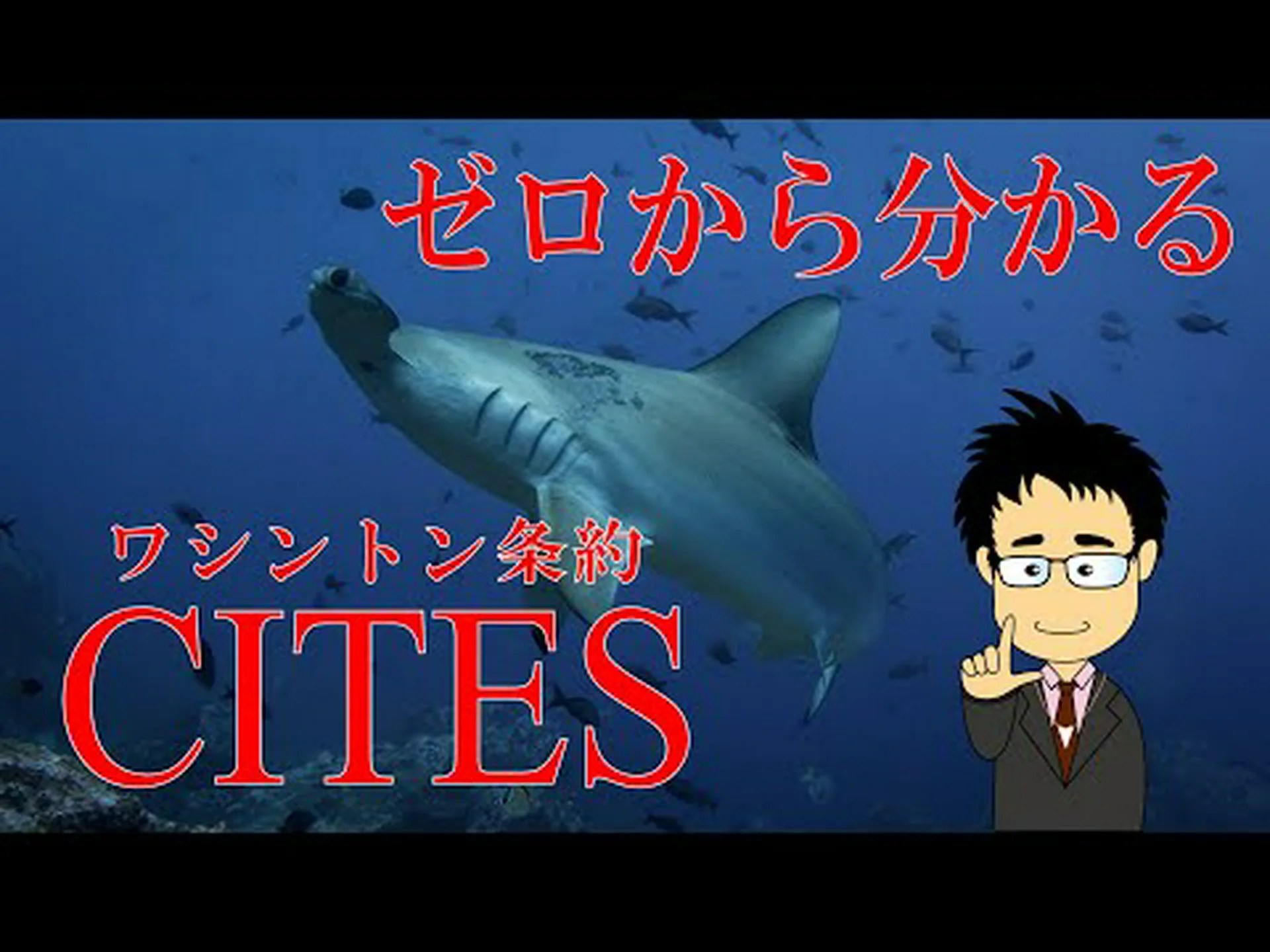 絶滅危惧種の国際取引に関するワシントン条約50周年 絶滅危惧種の国際取引に関するワシントン条約50周年