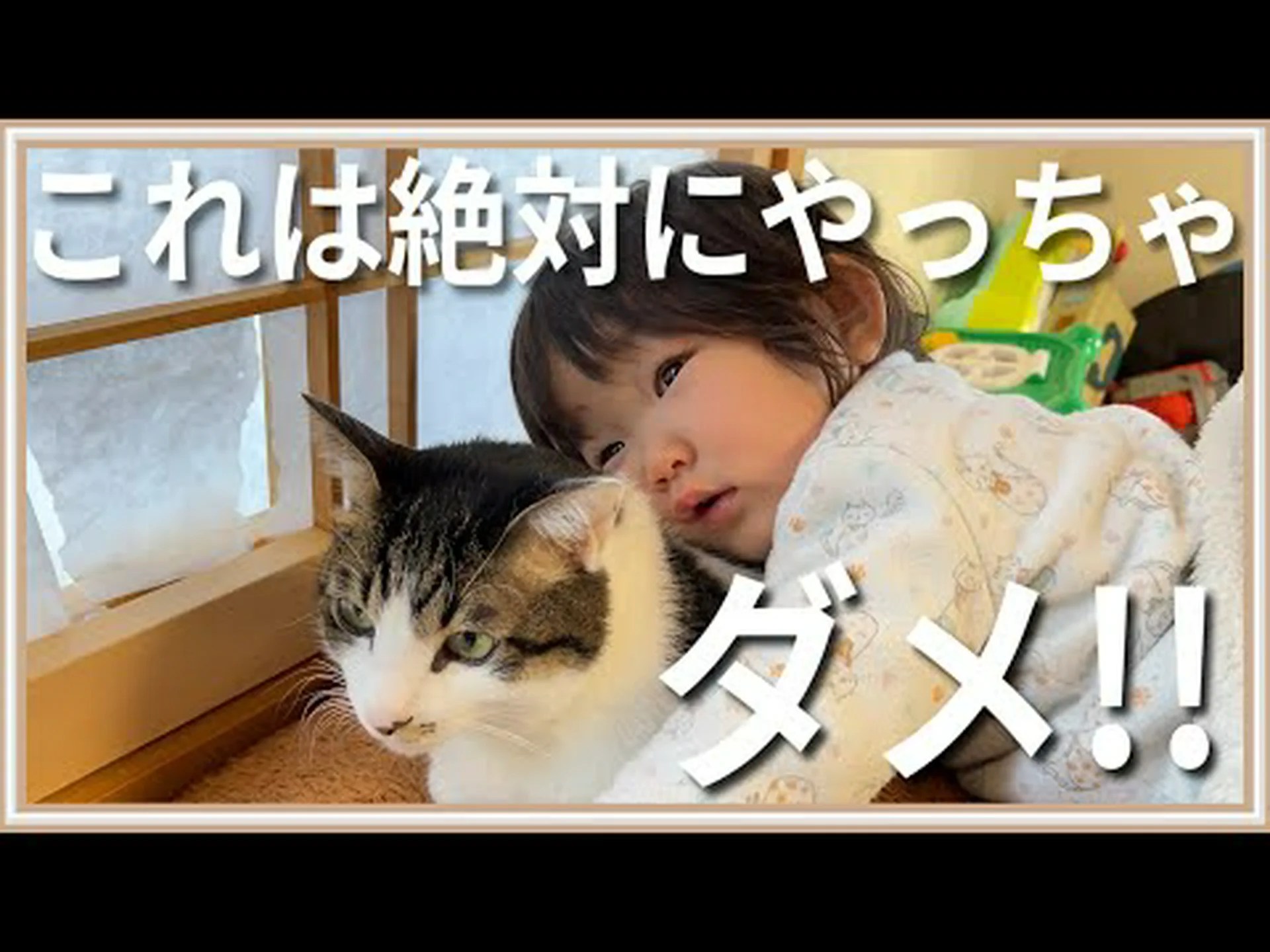 アレルギー患者のためのデザイナー猫がわずか2年で実現する可能性 アレルギー患者のためのデザイナー猫がわずか2年で実現する可能性