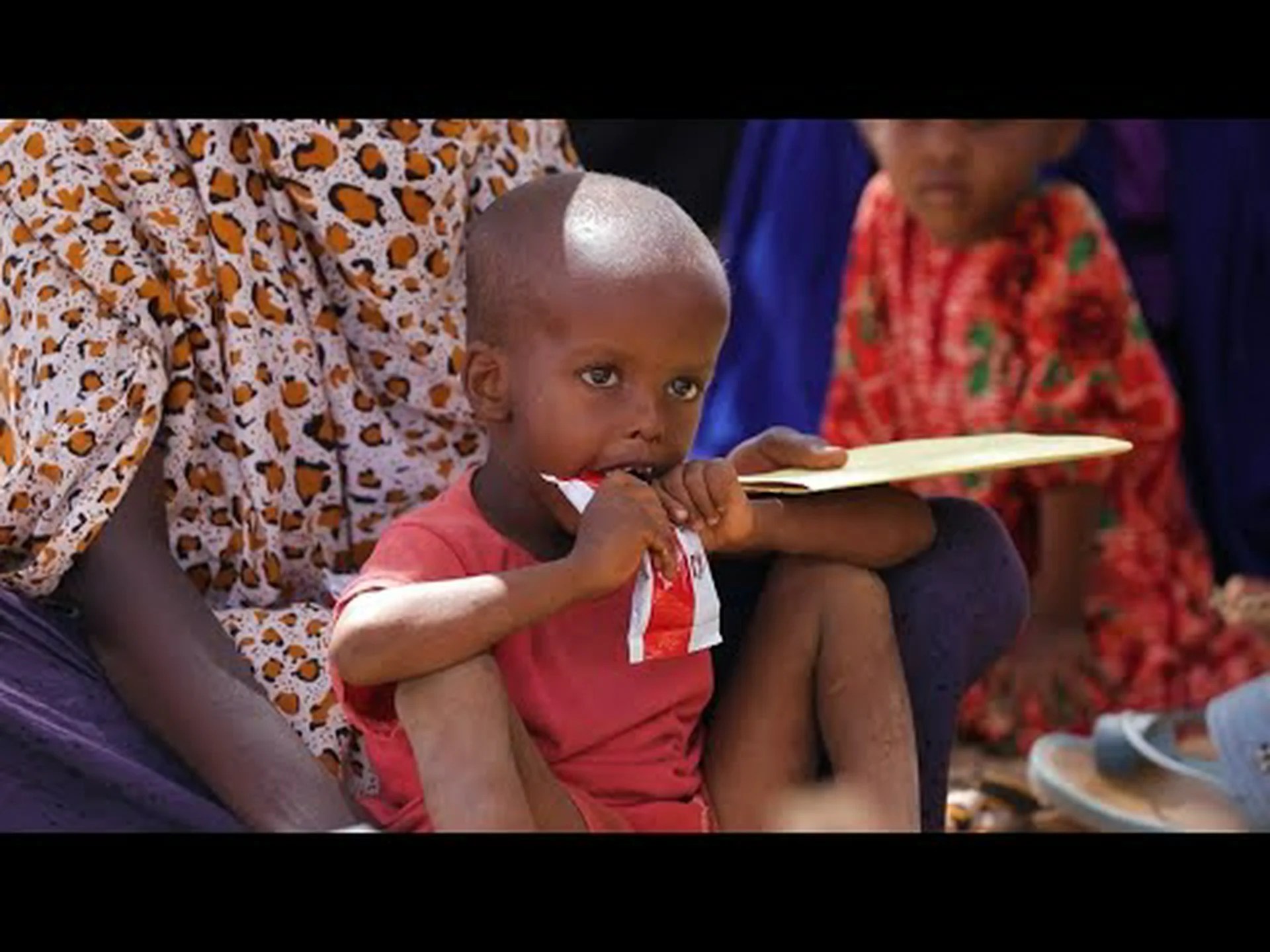 アフリカの角の干ばつ予報 アフリカの角の干ばつ予報