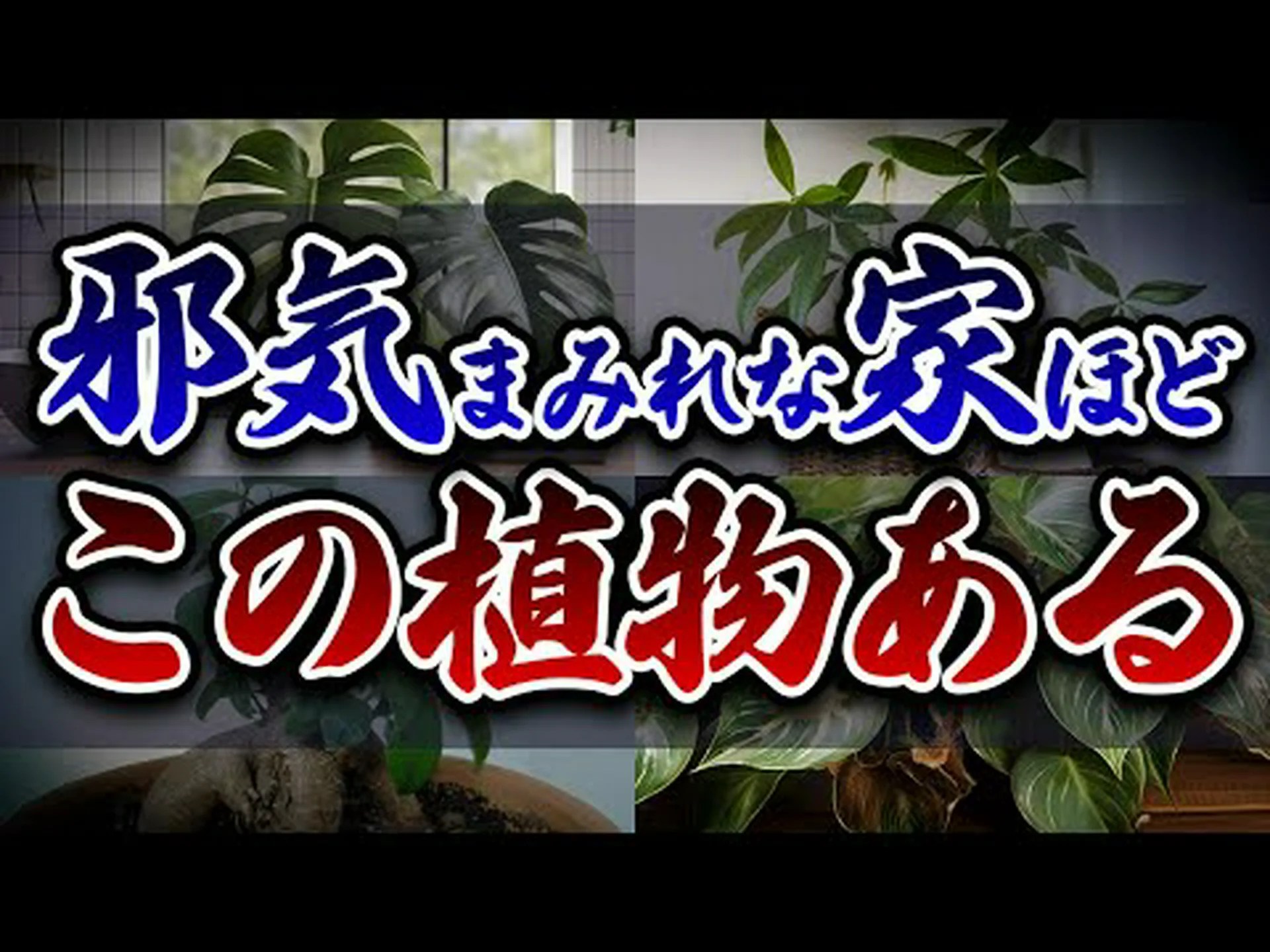 都市の庭園はとても貴重です 都市の庭園はとても貴重です