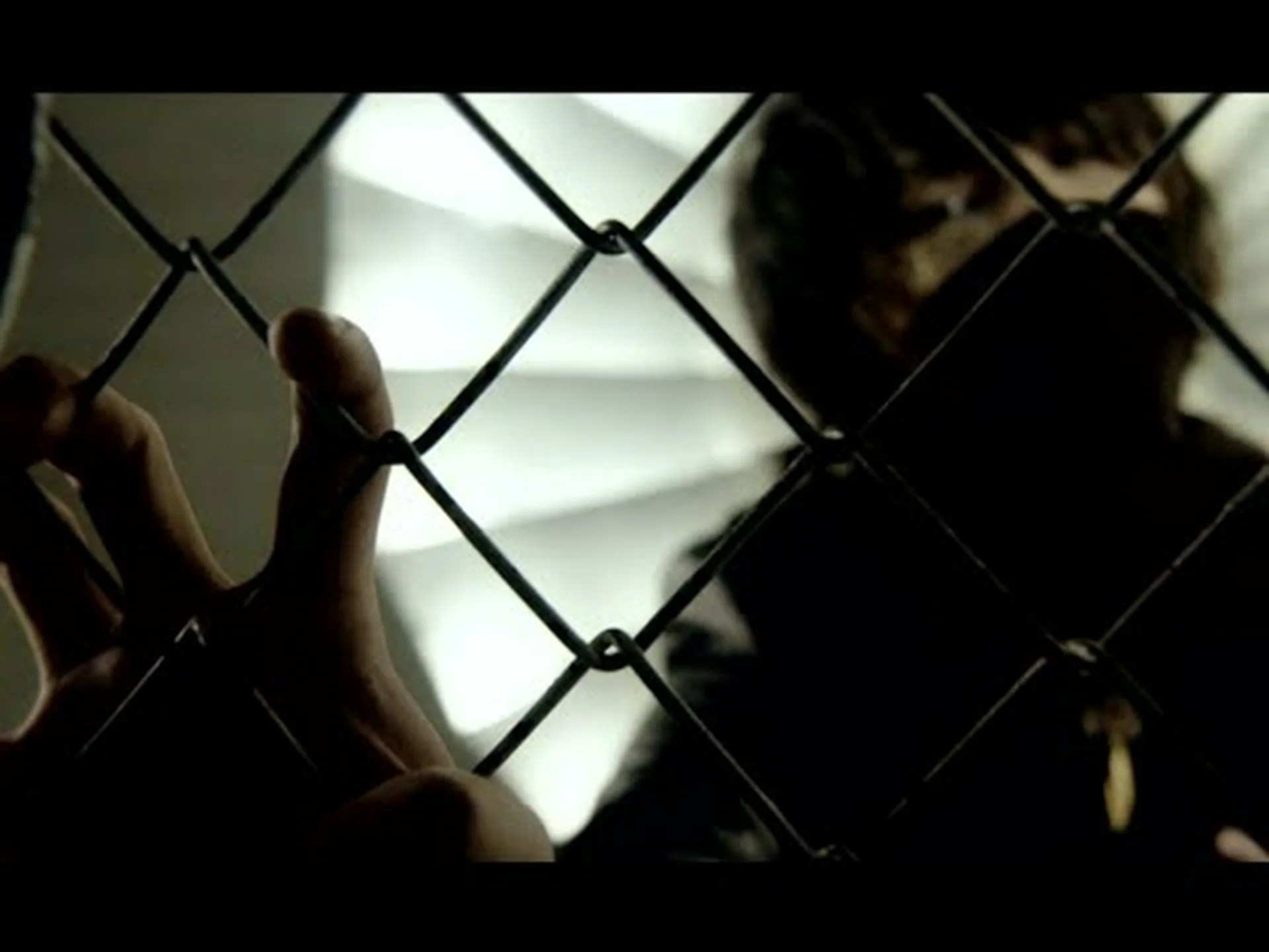 専門家は数ヶ月にわたってリポベイについて警告してきた 専門家は数ヶ月にわたってリポベイについて警告してきた