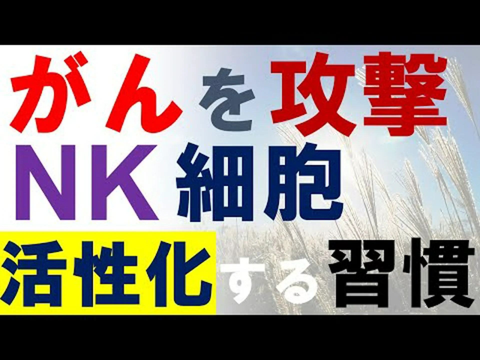 ナチュラルキラー細胞はウイルスを認識できる ナチュラルキラー細胞はウイルスを認識できる