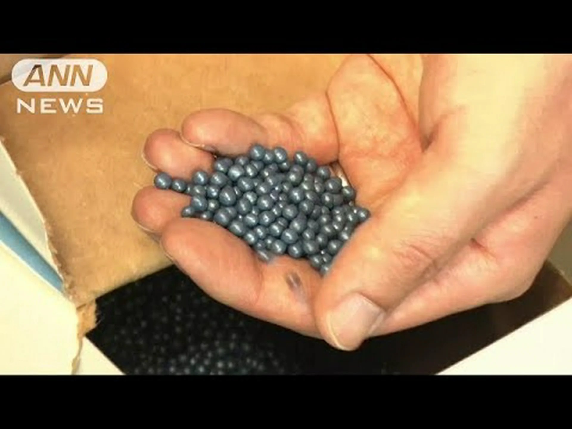 ミツバチの避妊薬としてのネオニコチノイド ミツバチの避妊薬としてのネオニコチノイド