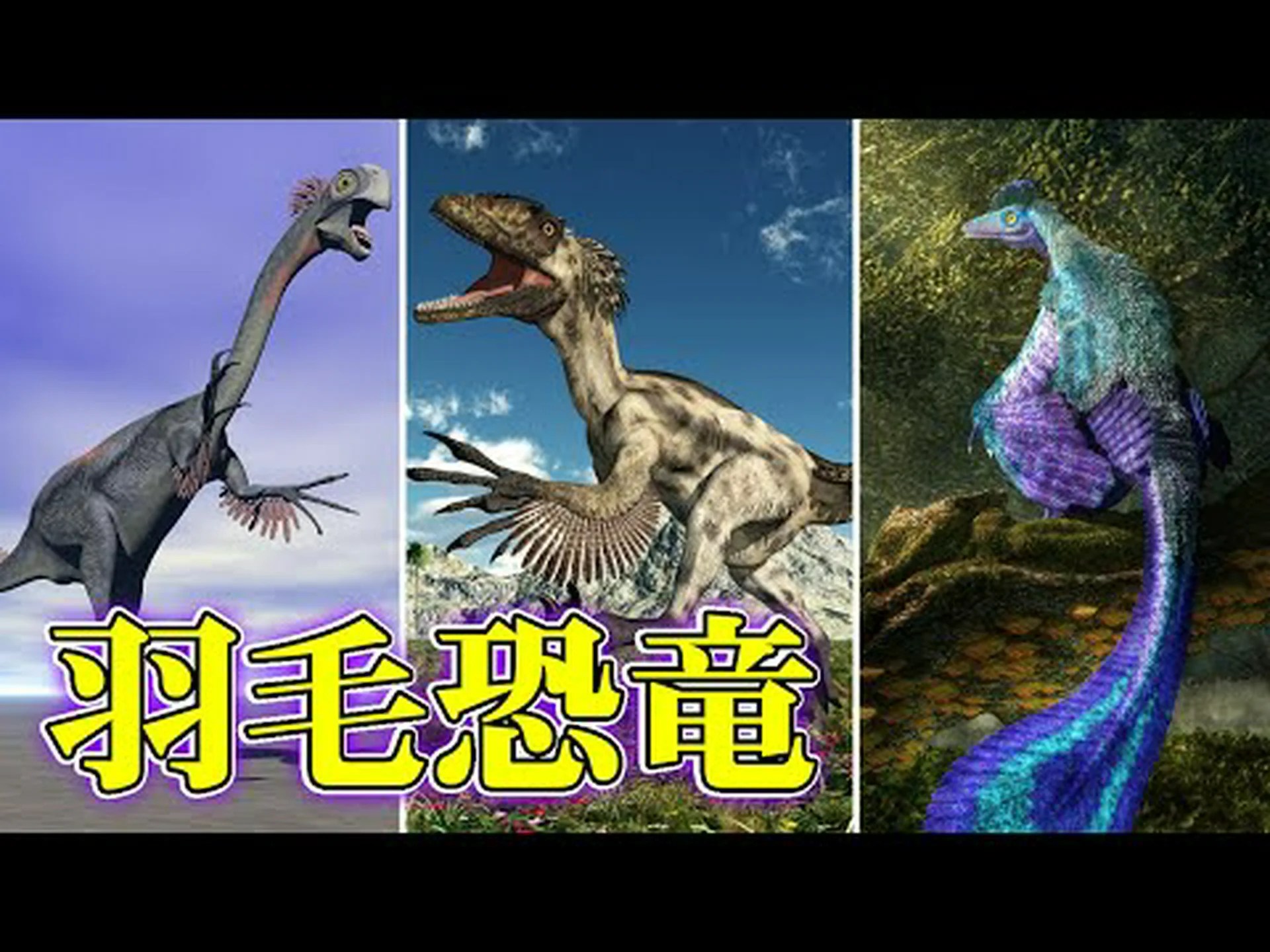 恐竜の羽毛と鳥の羽毛の違い 恐竜の羽毛と鳥の羽毛の違い