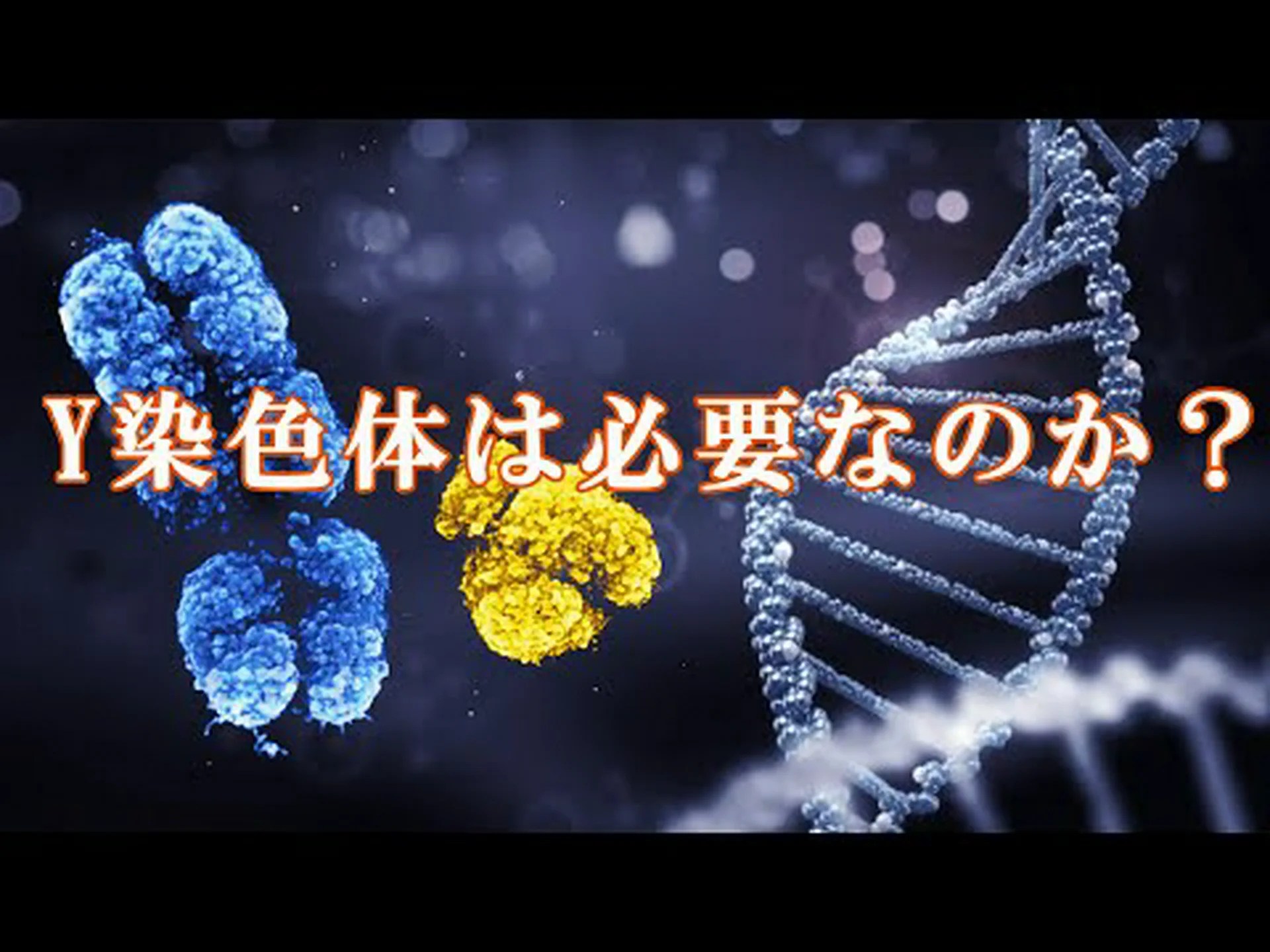 Y染色体:小さいながらも強力 Y染色体:小さいながらも強力