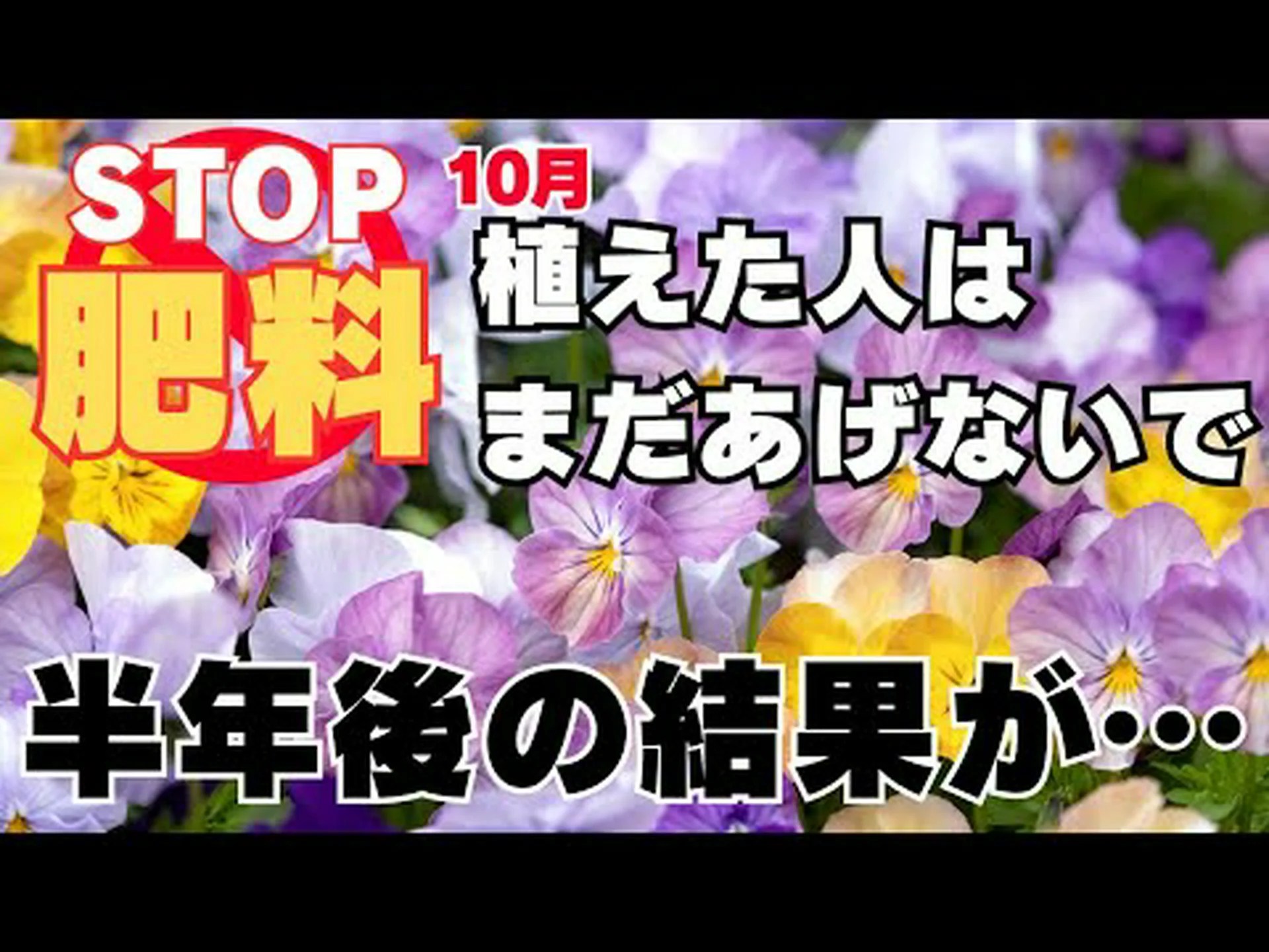 肥料は私たちも含めて環境に抵抗力をもたらします 肥料は私たちも含めて環境に抵抗力をもたらします