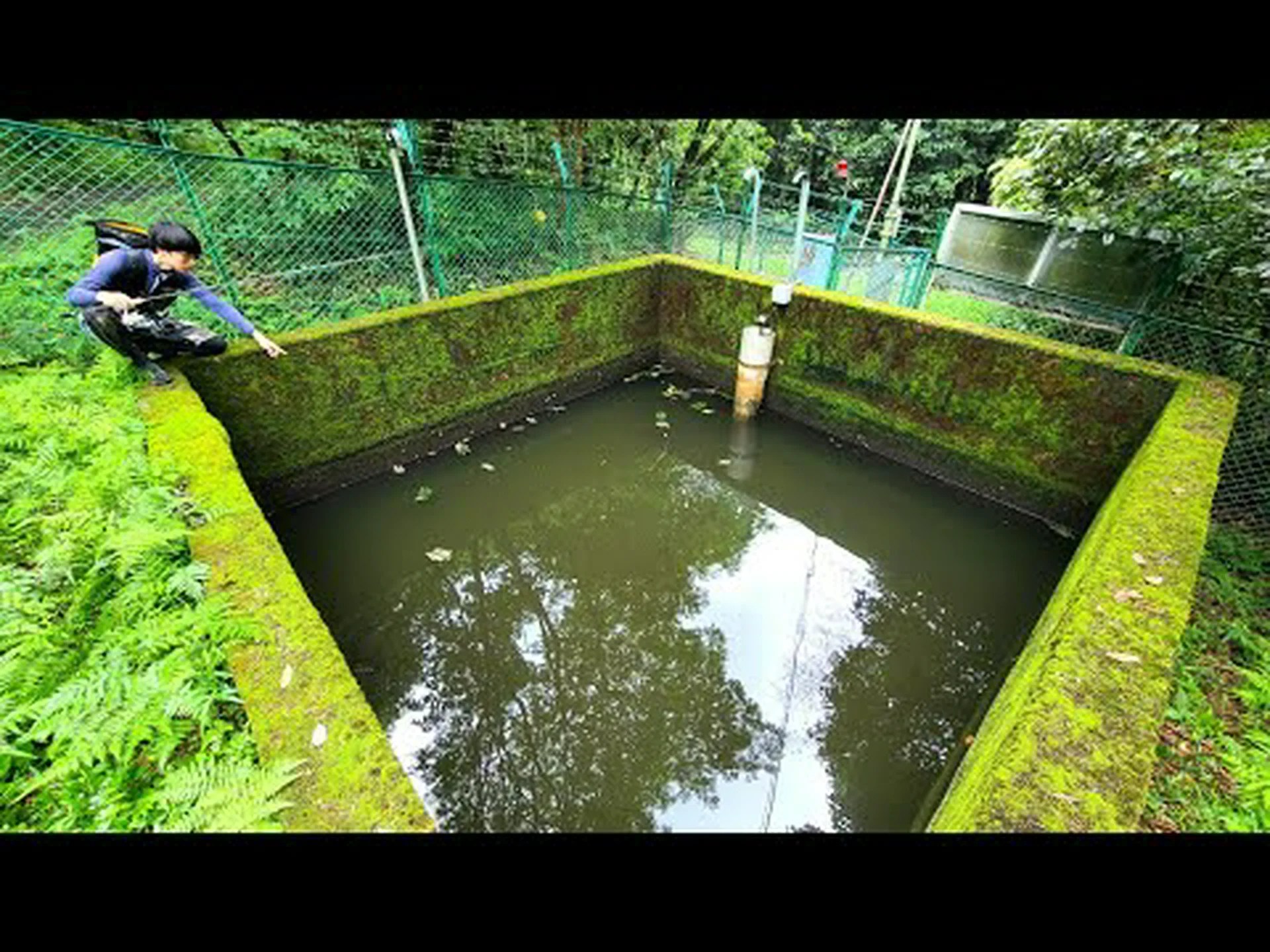 哺乳類の 4 匹に 1 匹、鳥類の 8 匹に 1 匹、魚の 3 匹に 1 匹が絶滅の危機に瀕しています 哺乳類の 4 匹に 1 匹、鳥類の 8 匹に 1 匹、魚の 3 匹に 1 匹が絶滅の危機に瀕しています