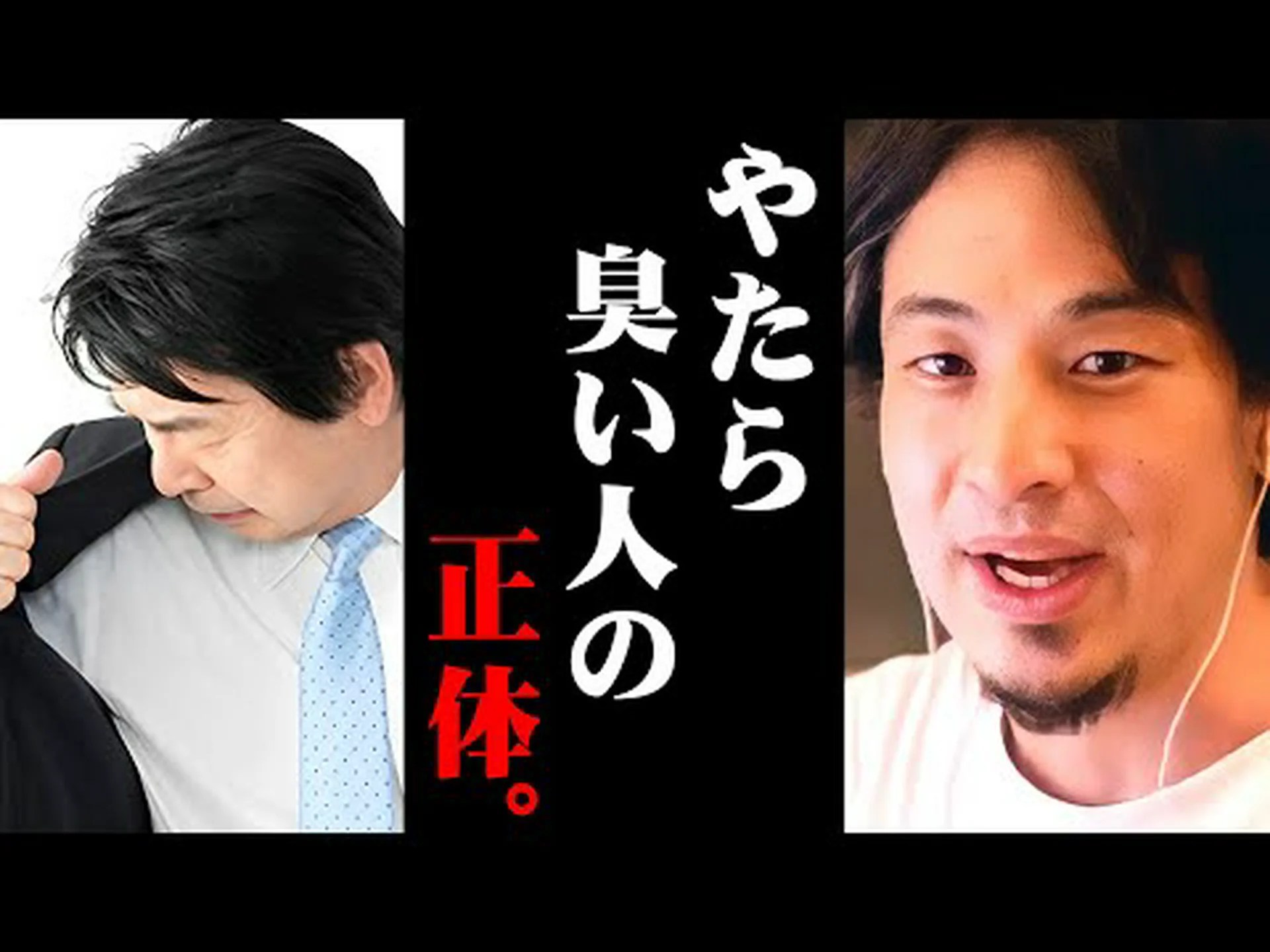 蒸れた鳥 蒸れた鳥