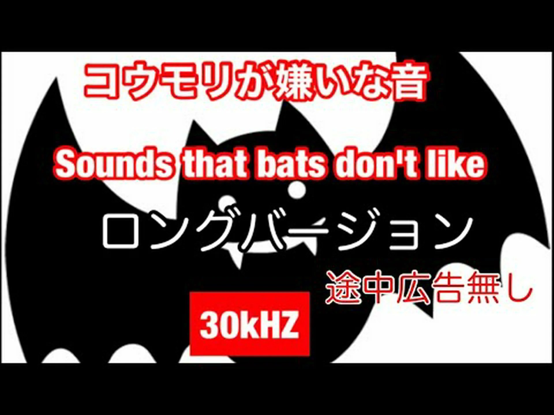 コウモリに対する超音波 コウモリに対する超音波