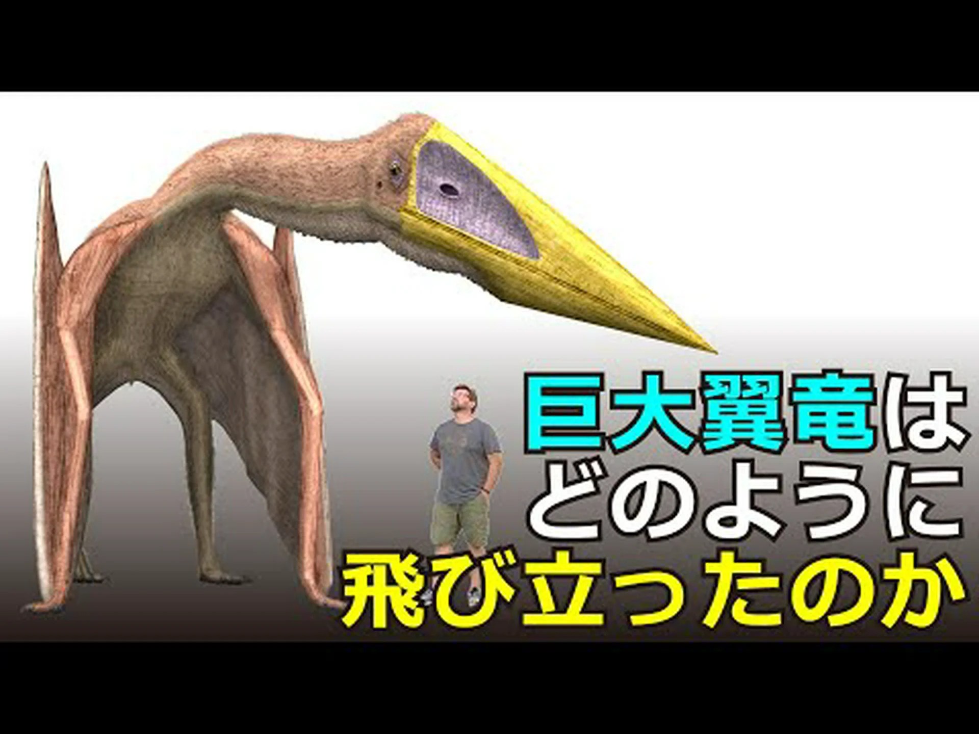 白亜紀の最初の小型翼竜 白亜紀の最初の小型翼竜