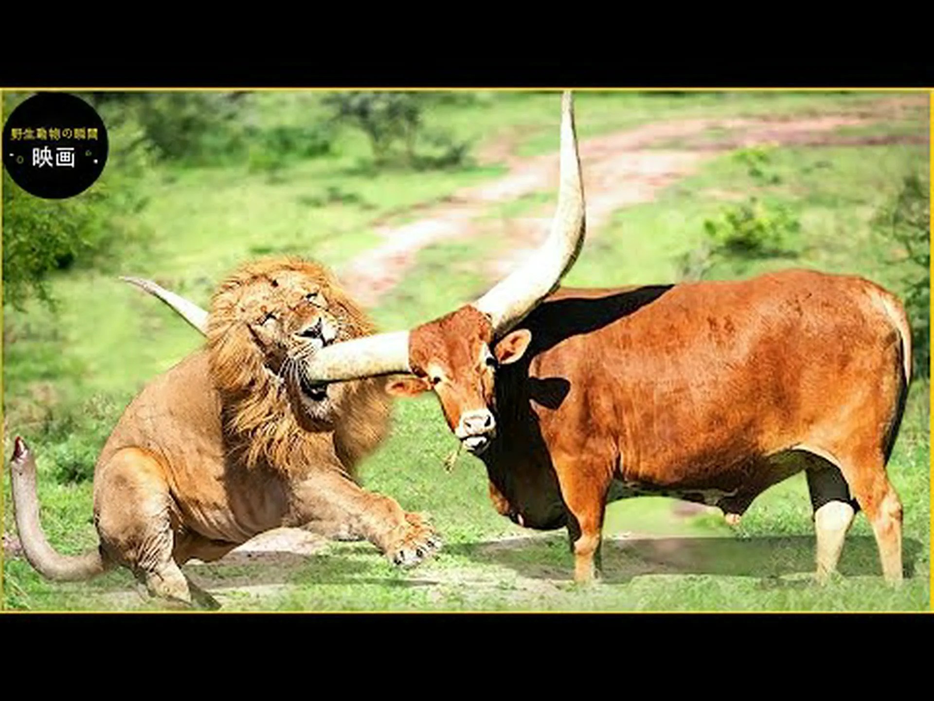 振動で捕食者を警告 振動で捕食者を警告