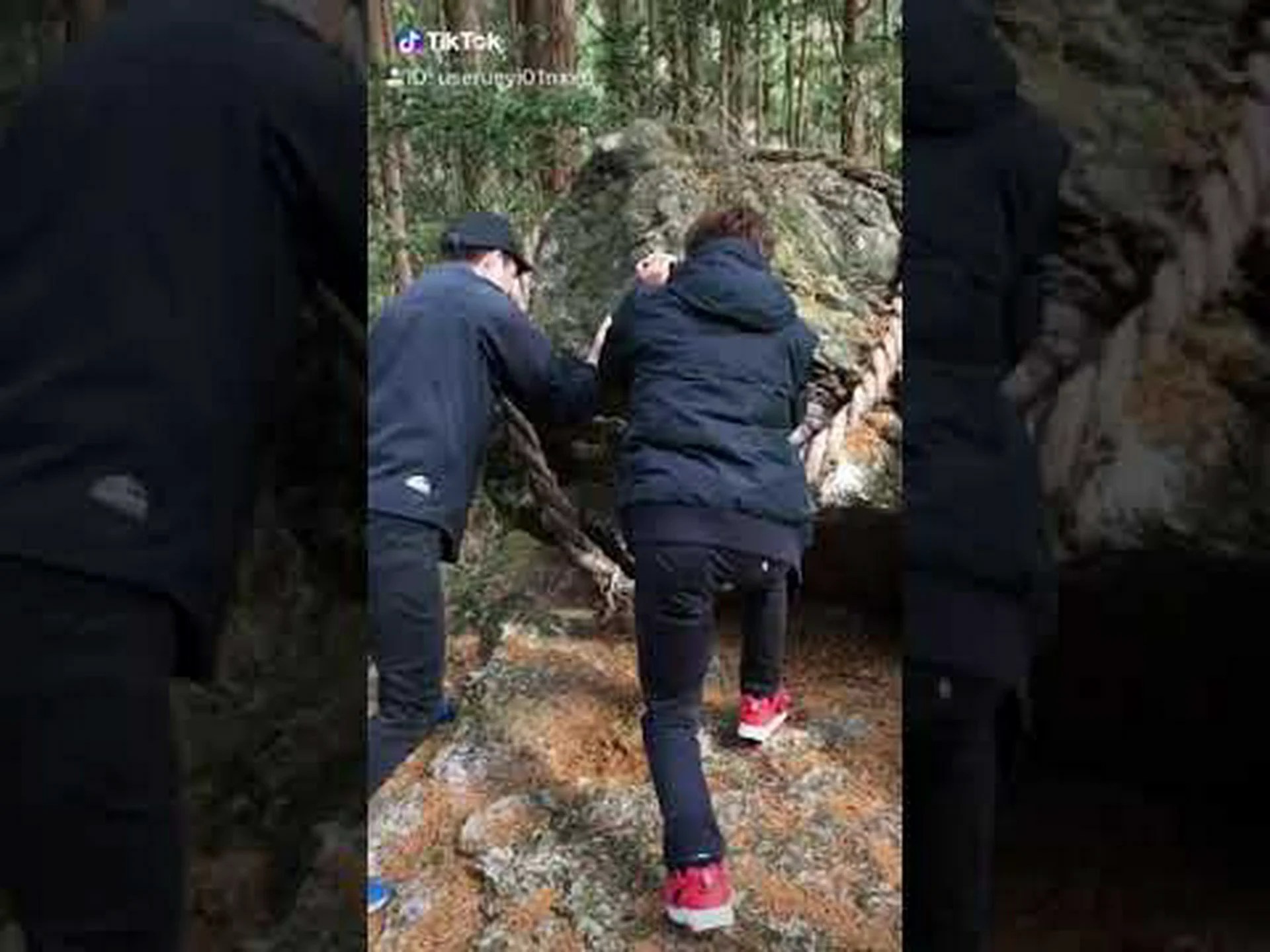 サルと巨大グライダーとの関係 サルと巨大グライダーとの関係