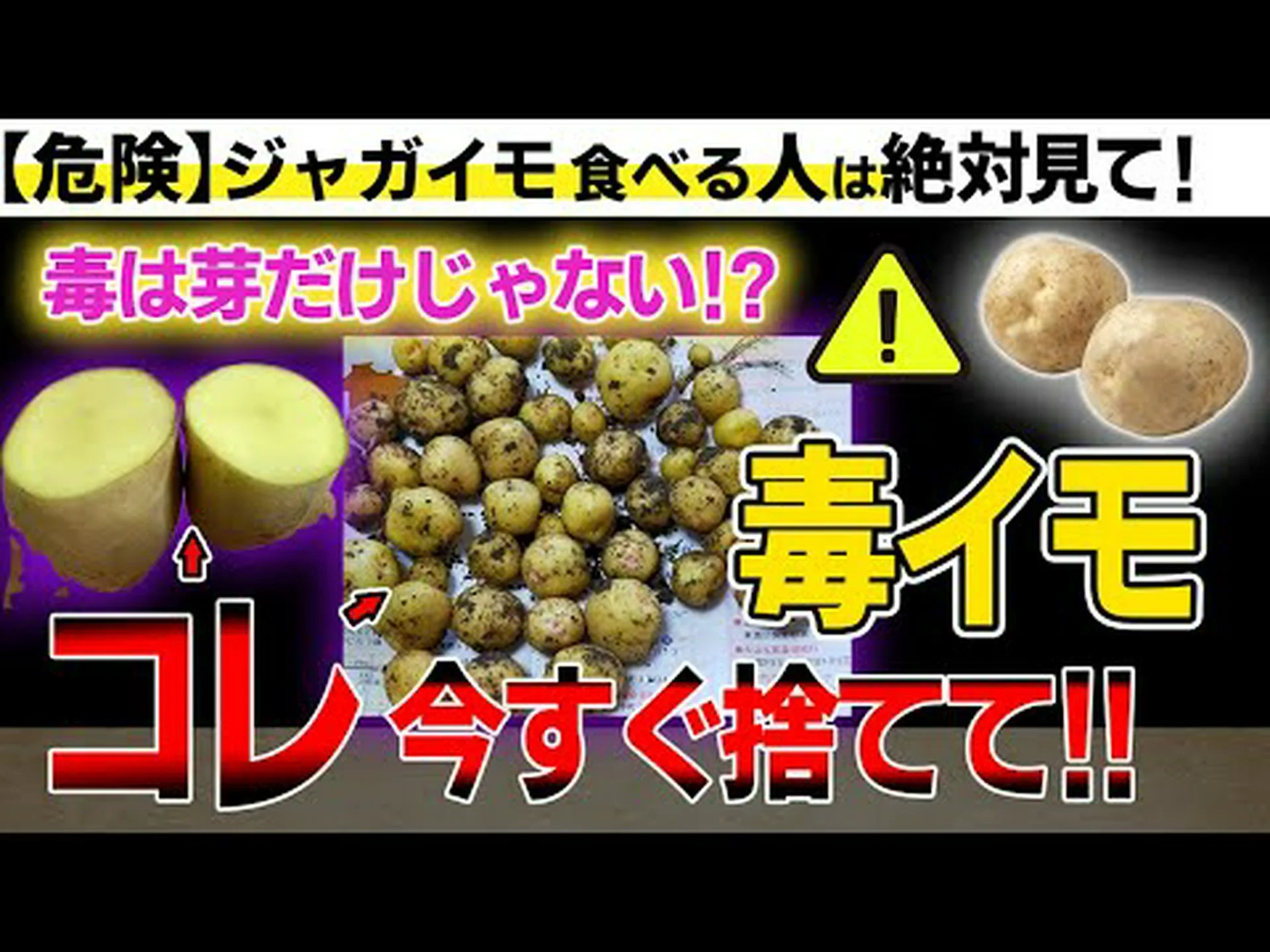 ジャガイモの毒から作られたホルモン剤 ジャガイモの毒から作られたホルモン剤