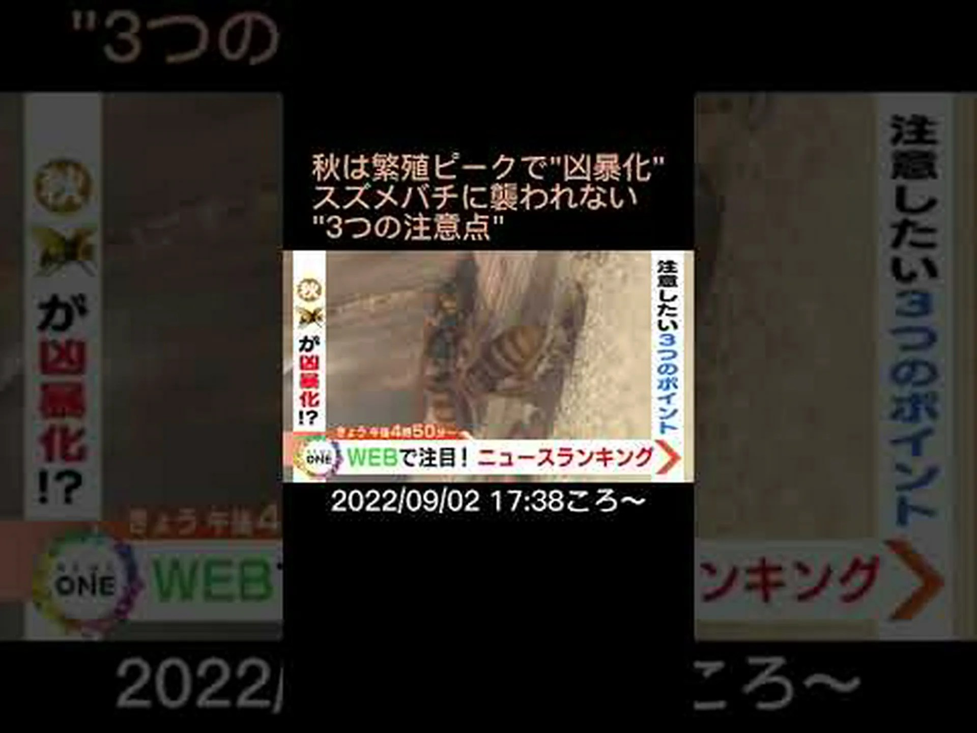 トリッキーなスズメバチの繁殖 トリッキーなスズメバチの繁殖