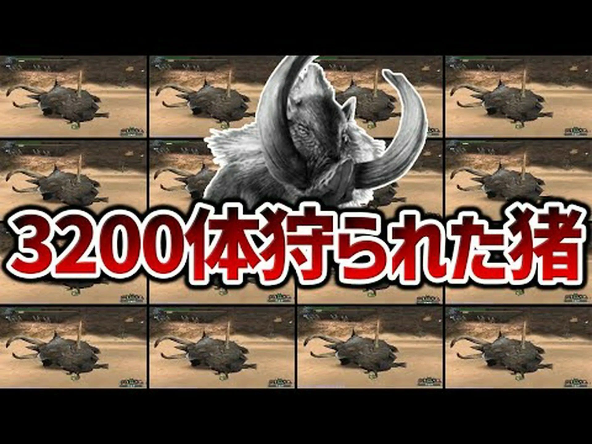 全サンゴ礁の3分の2が乱獲されている 全サンゴ礁の3分の2が乱獲されている