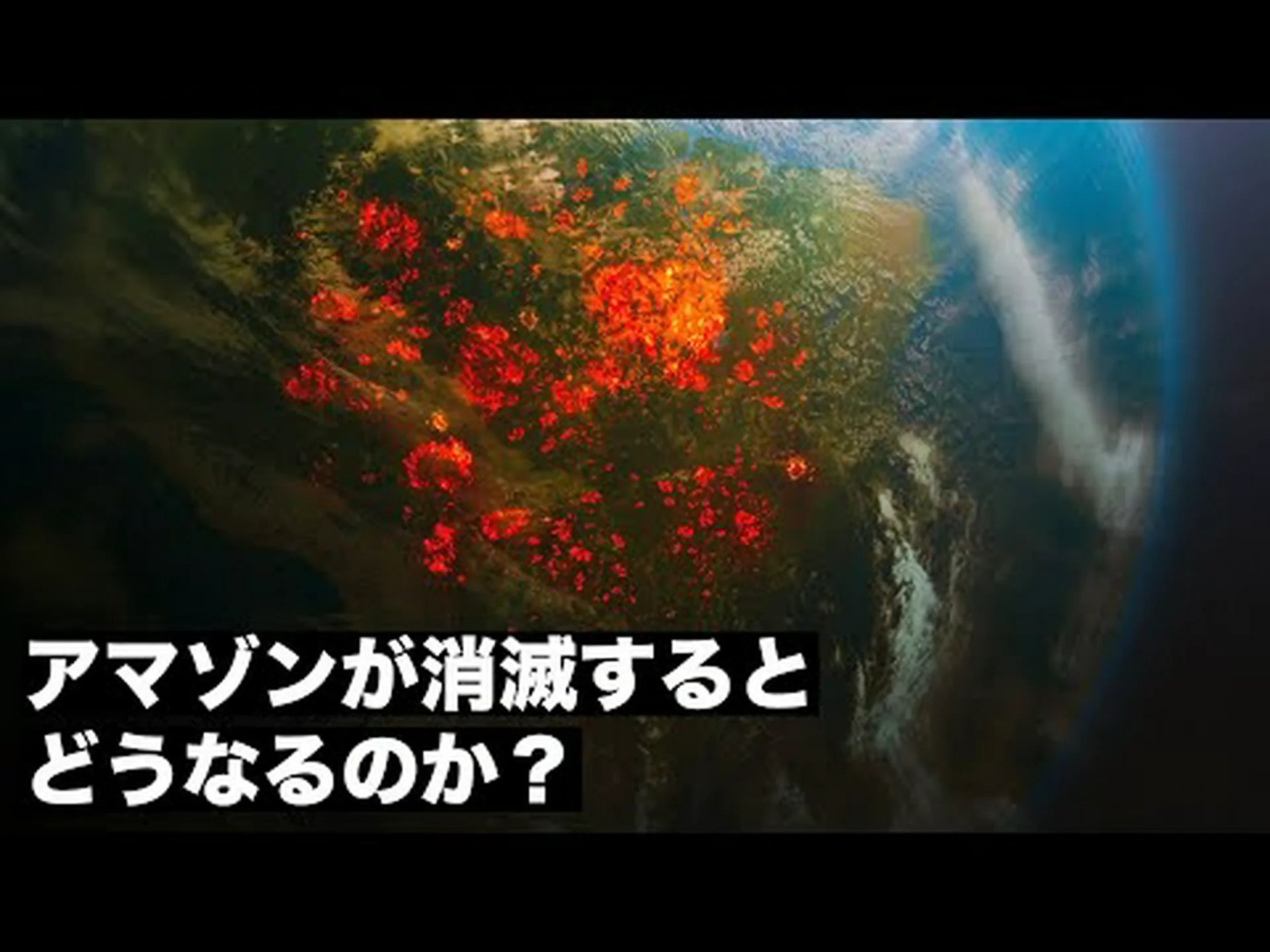 アマゾン森林におけるドライネットワーク効果 アマゾン森林におけるドライネットワーク効果