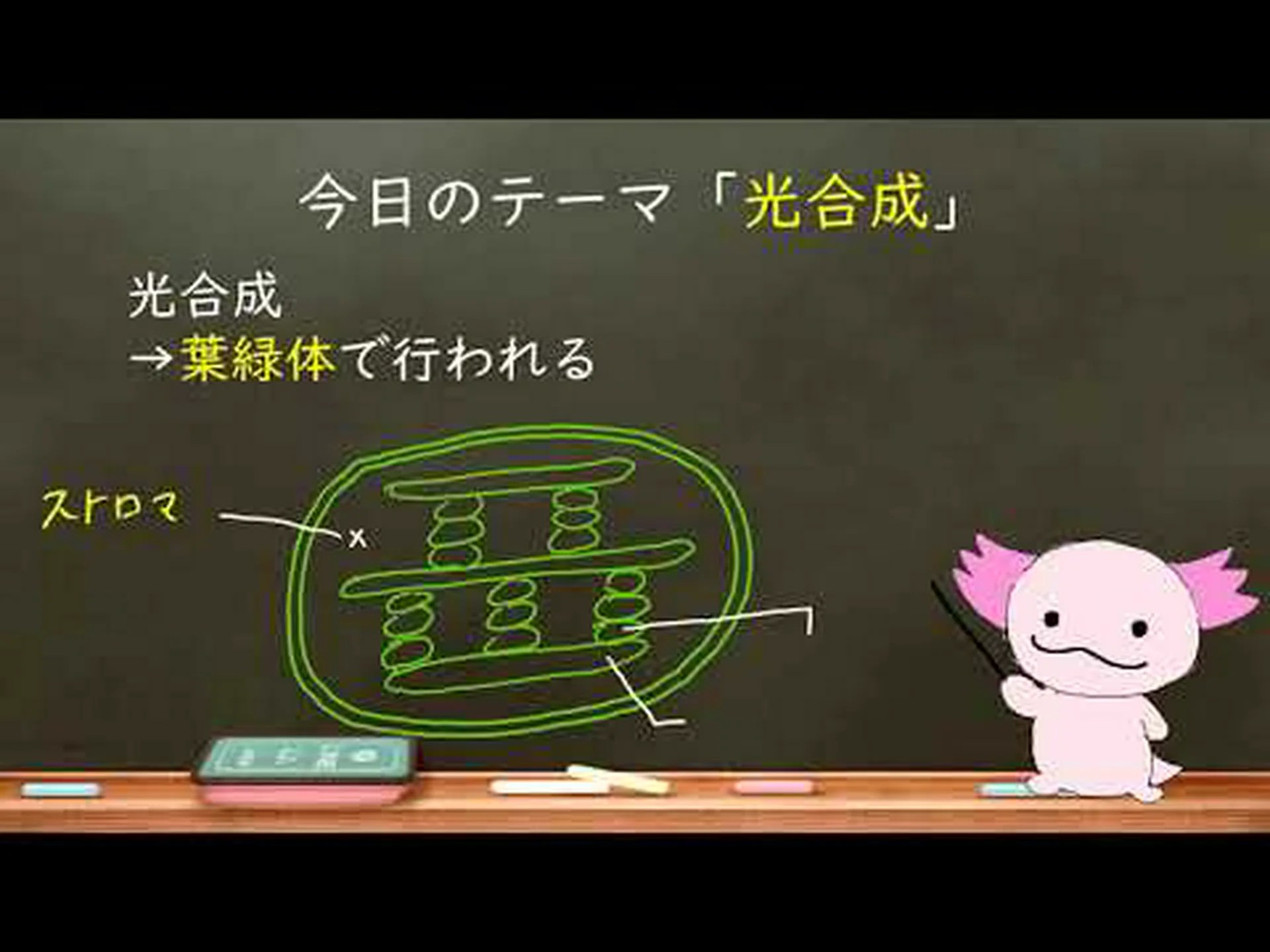 動物の光合成 動物の光合成